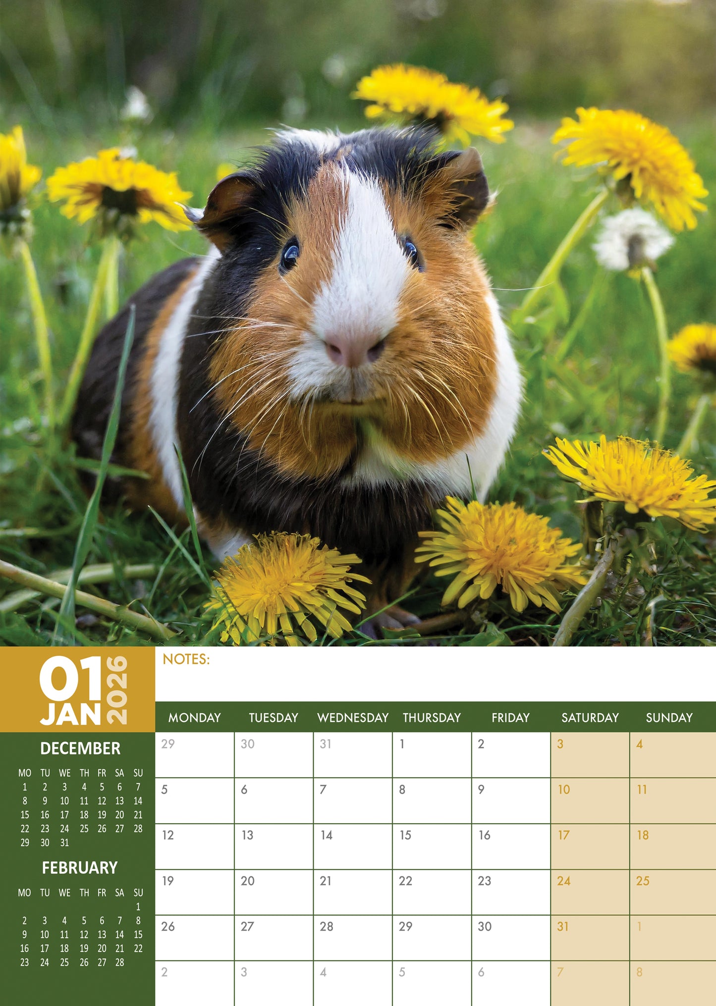 Guinea Pigs Calendar 2026 – The Ultimate Calendar for Pet Guinea Pig Lovers