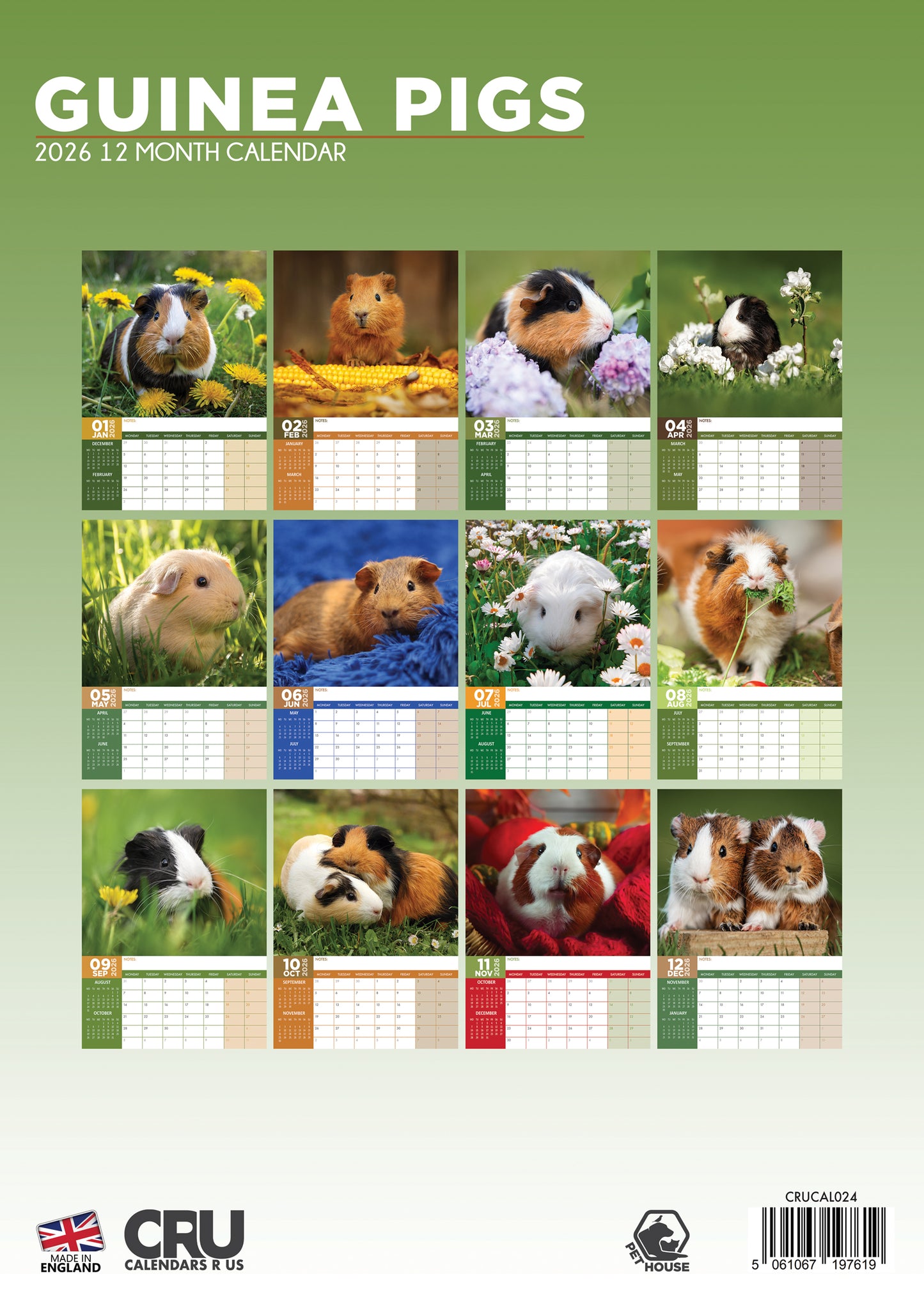 Guinea Pigs Calendar 2026 – The Ultimate Calendar for Pet Guinea Pig Lovers