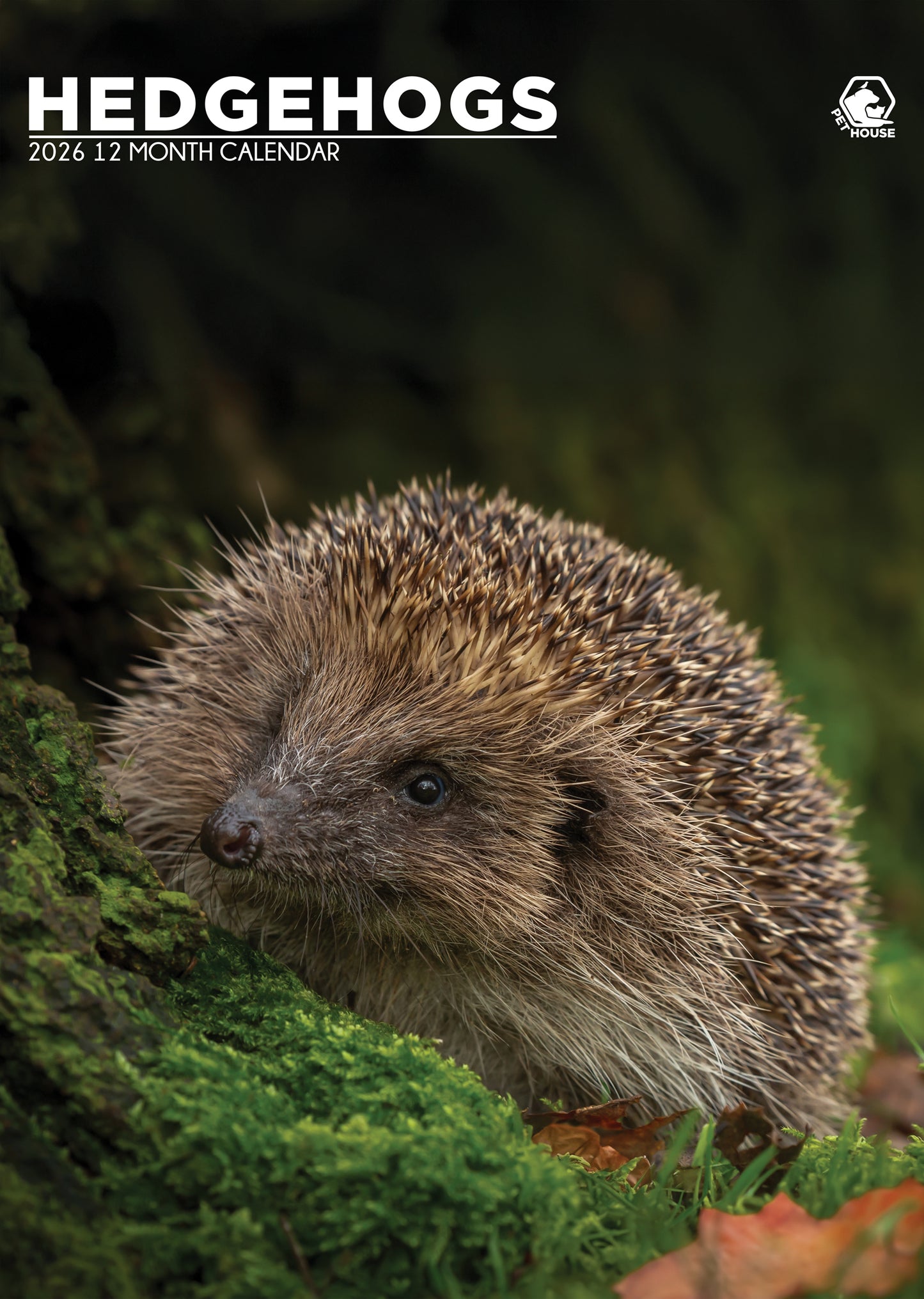 Hedgehogs Calendar 2026 – A Year of Quirky Charm and Cuddly Moments