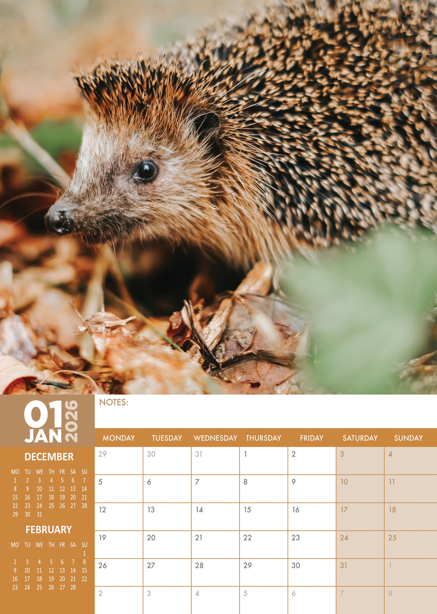 Hedgehogs Calendar 2026 – A Year of Quirky Charm and Cuddly Moments