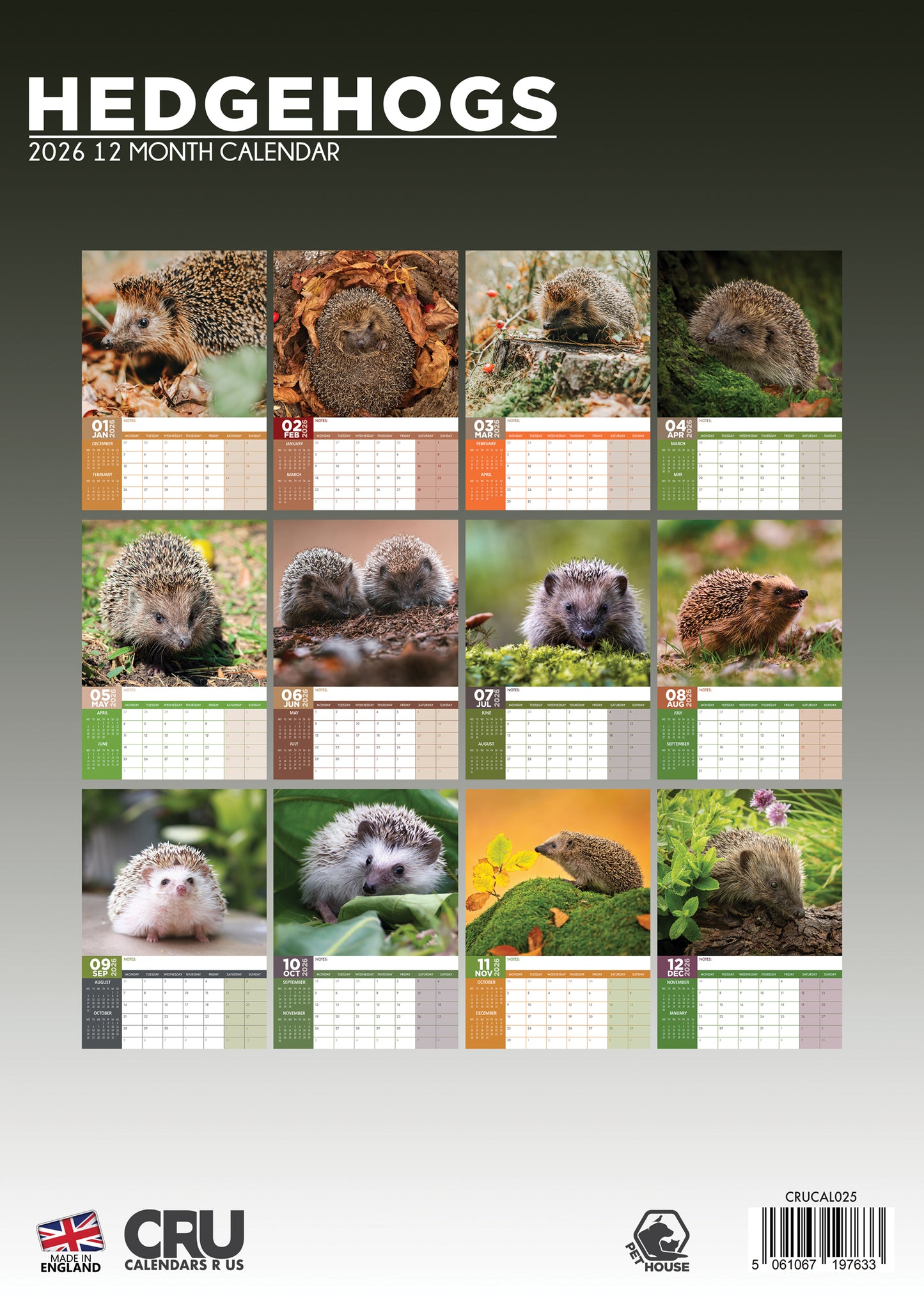 Hedgehogs Calendar 2026 – A Year of Quirky Charm and Cuddly Moments