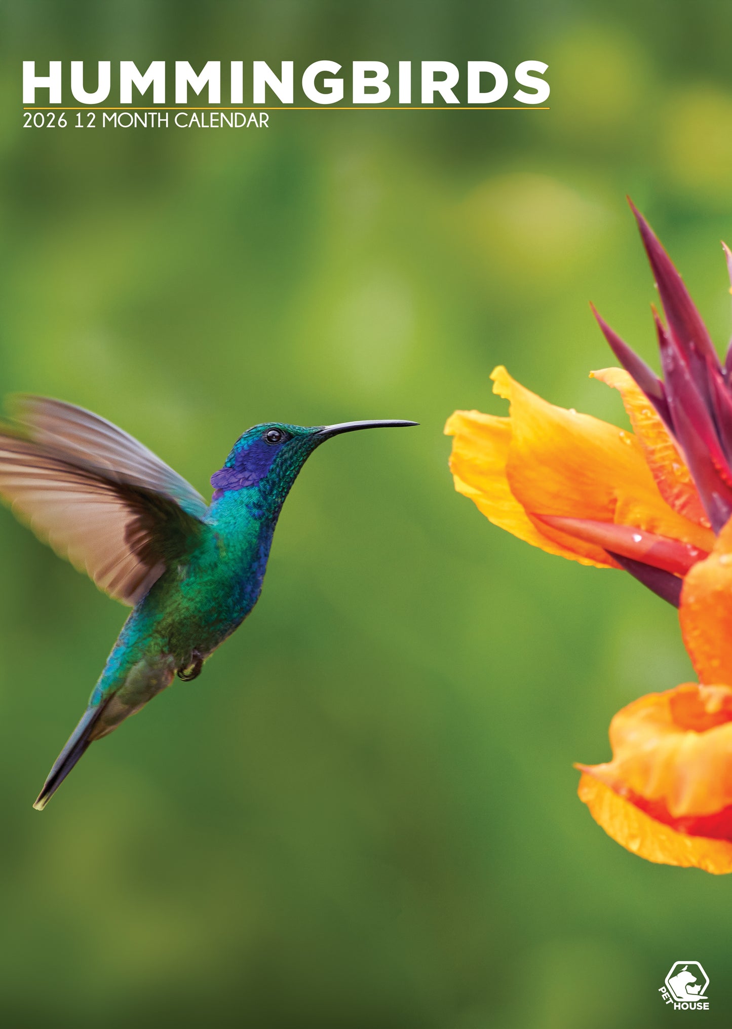 Hummingbirds Calendar 2026 – A Year of Colour, Grace & Wonder