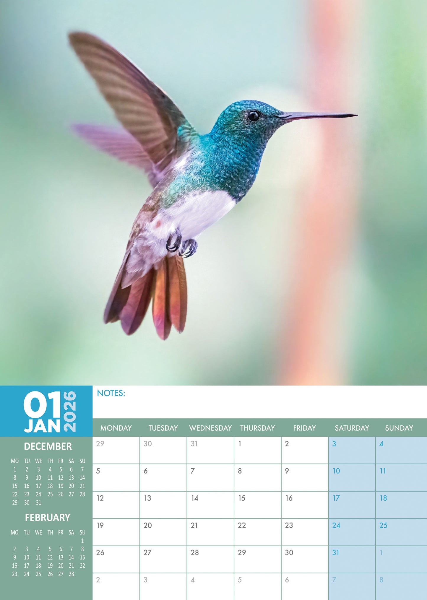 Hummingbirds Calendar 2026 – A Year of Colour, Grace & Wonder
