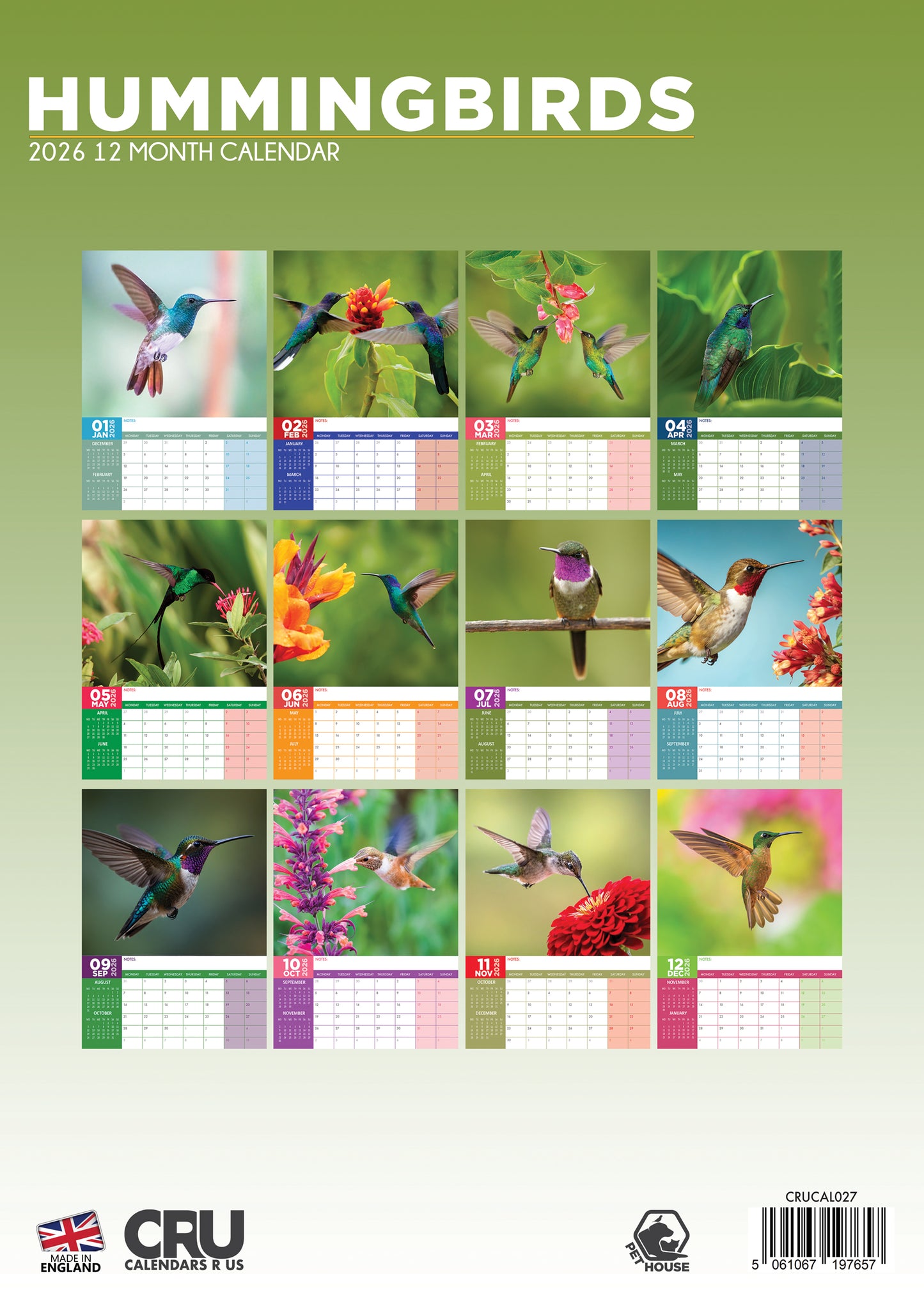 Hummingbirds Calendar 2026 – A Year of Colour, Grace & Wonder