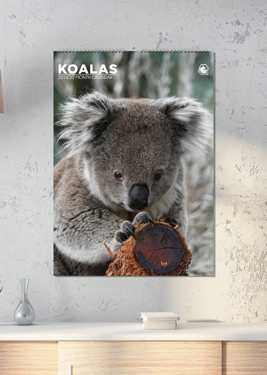 Koalas Calendar 2026 – Embrace the Cutest Tree-Hugging Creatures