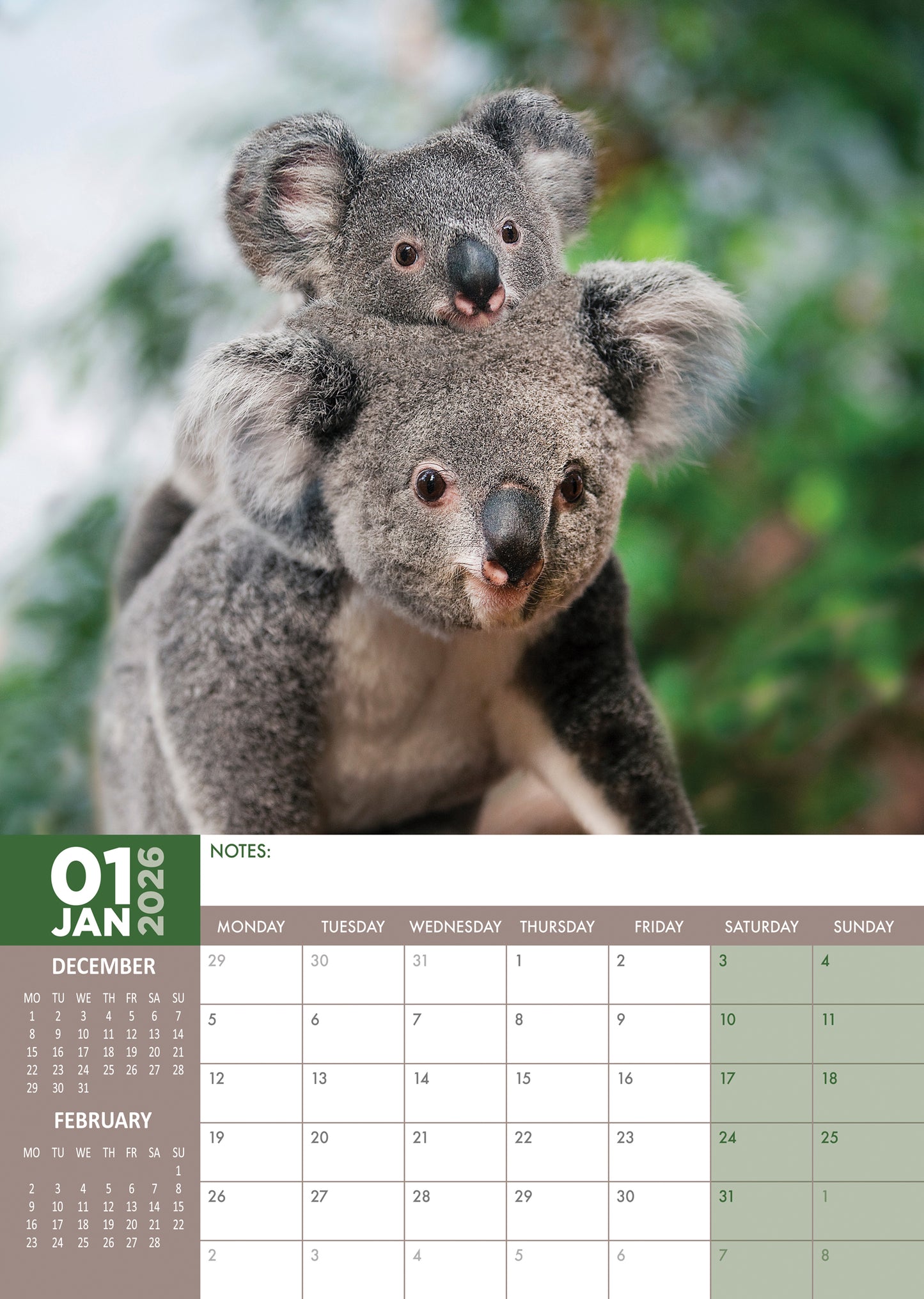 Koalas Calendar 2026 – Embrace the Cutest Tree-Hugging Creatures