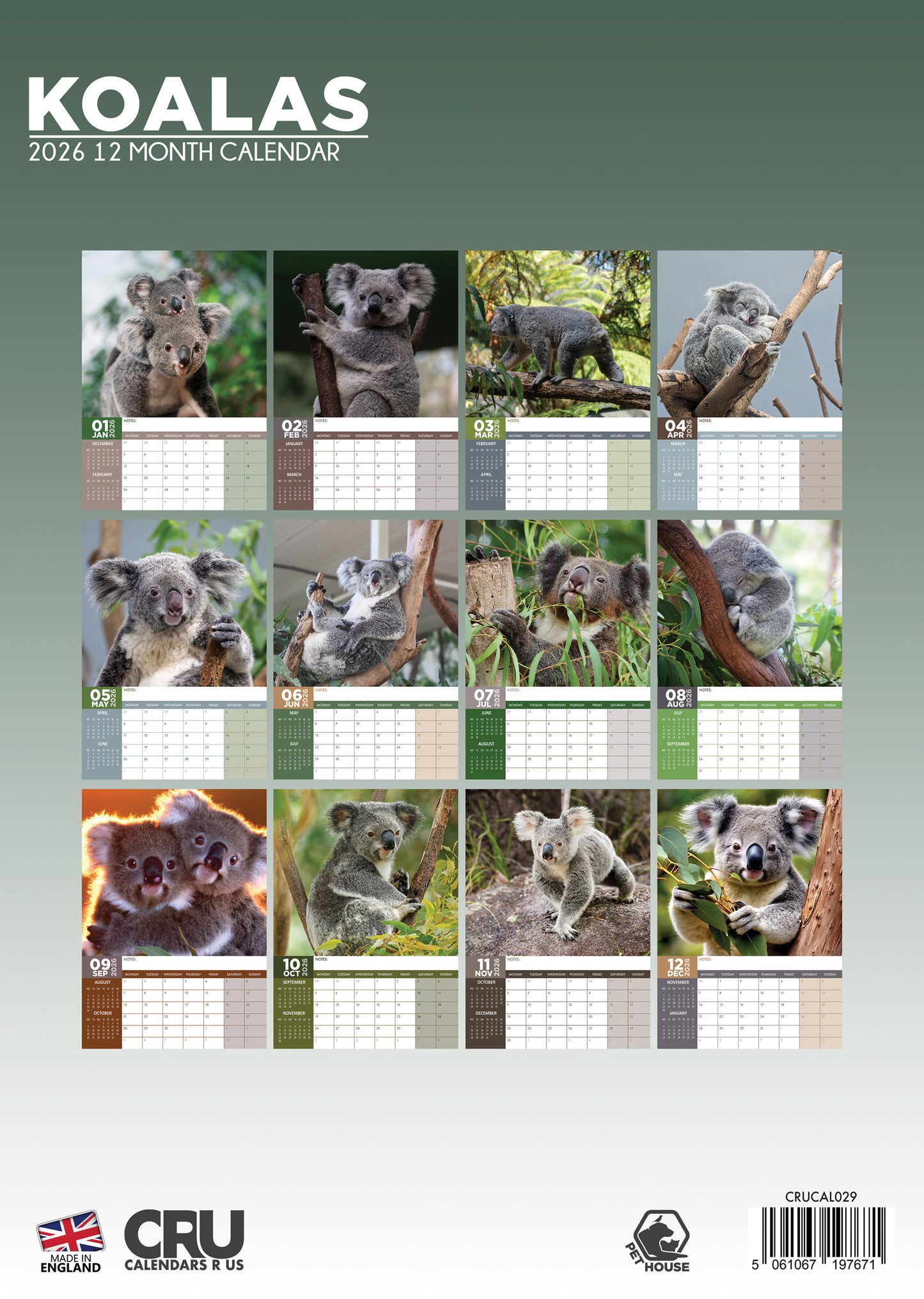 Koalas Calendar 2026 – Embrace the Cutest Tree-Hugging Creatures