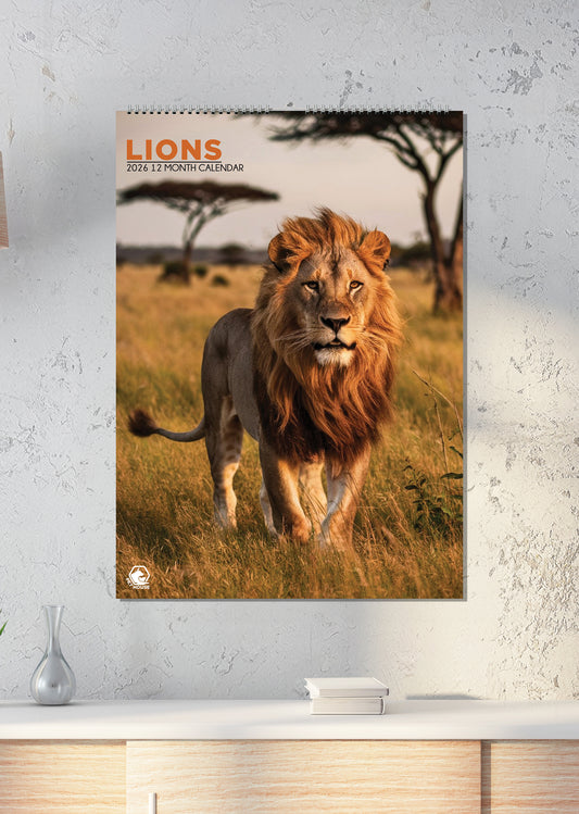 Lions Calendar 2026 – A Majestic Tribute to the King of the Jungle