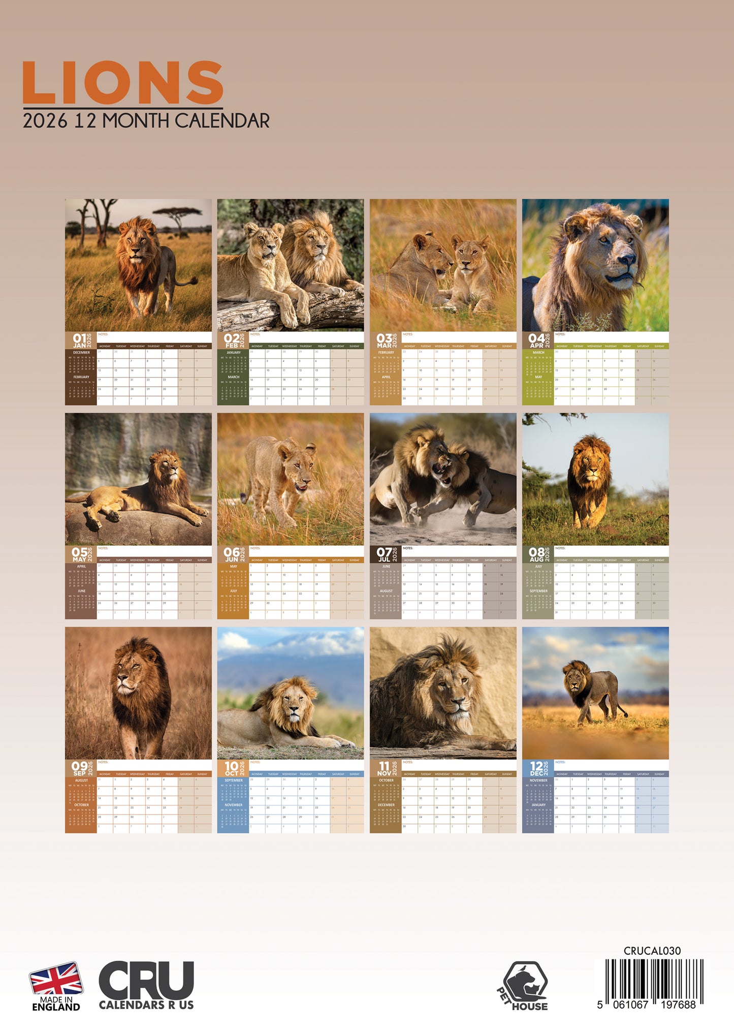 Lions Calendar 2026 – A Majestic Tribute to the King of the Jungle