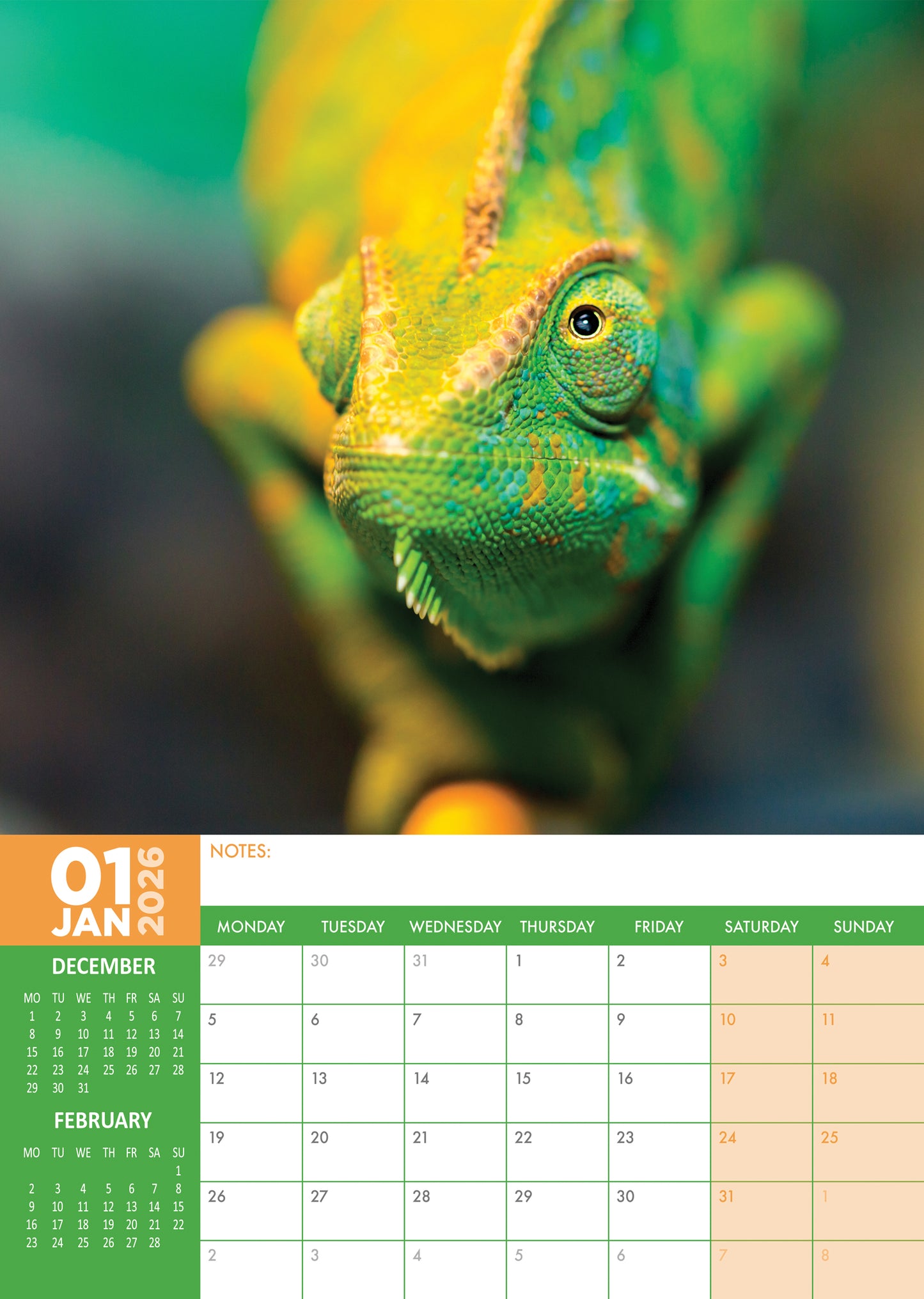 Lizards Calendar 2026 – A Scaly Showcase of Nature’s Most Fascinating Reptiles