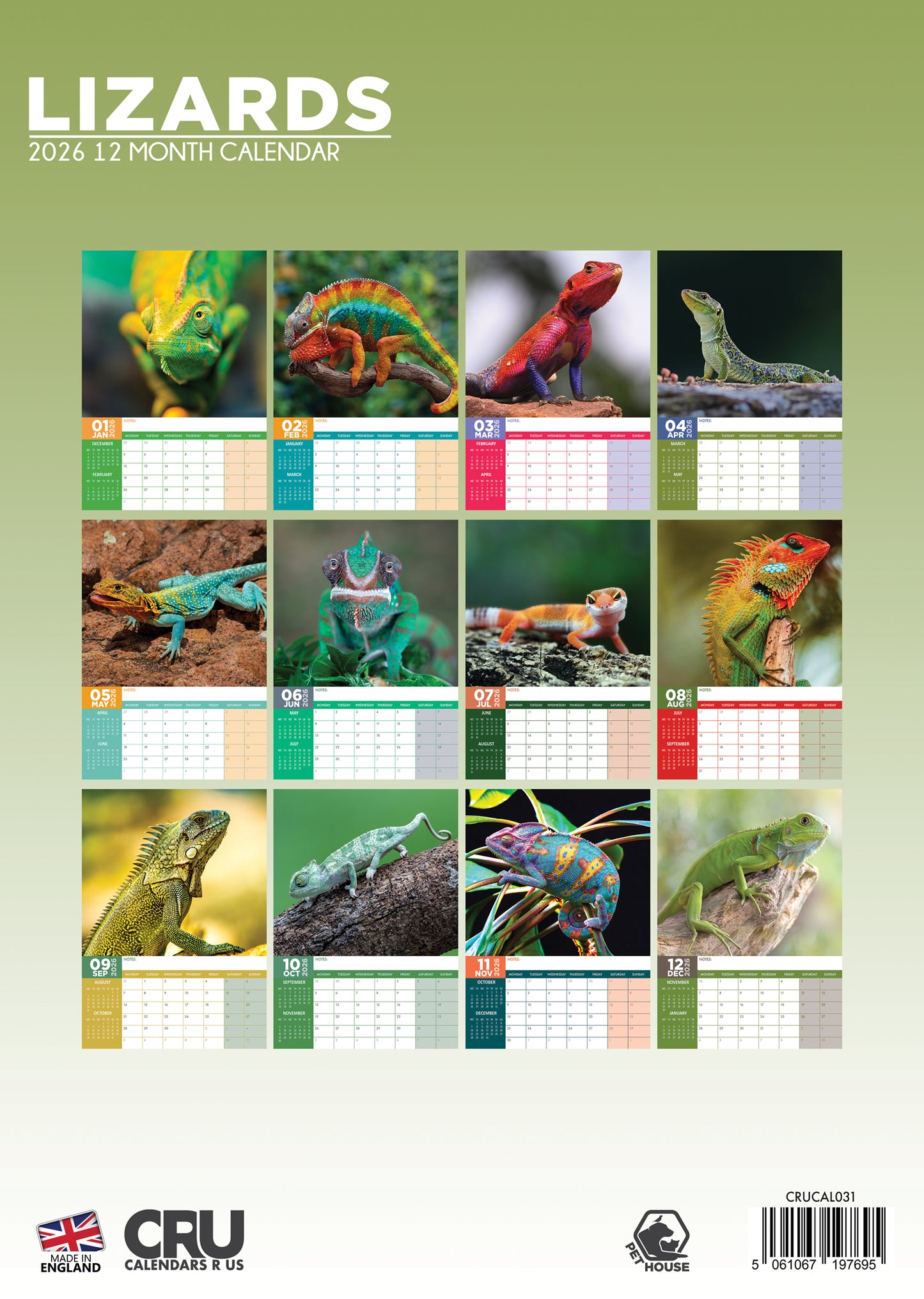 Lizards Calendar 2026 – A Scaly Showcase of Nature’s Most Fascinating Reptiles