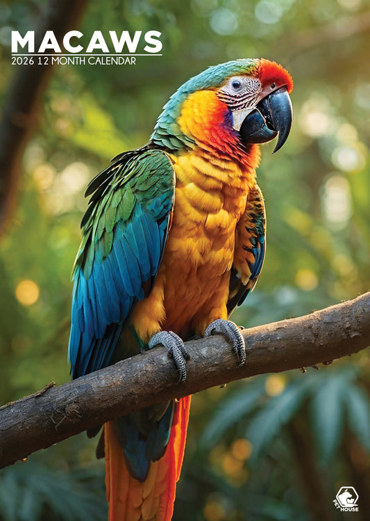 Macaws Calendar 2026 – A Colorful Celebration of Exotic Beauty
