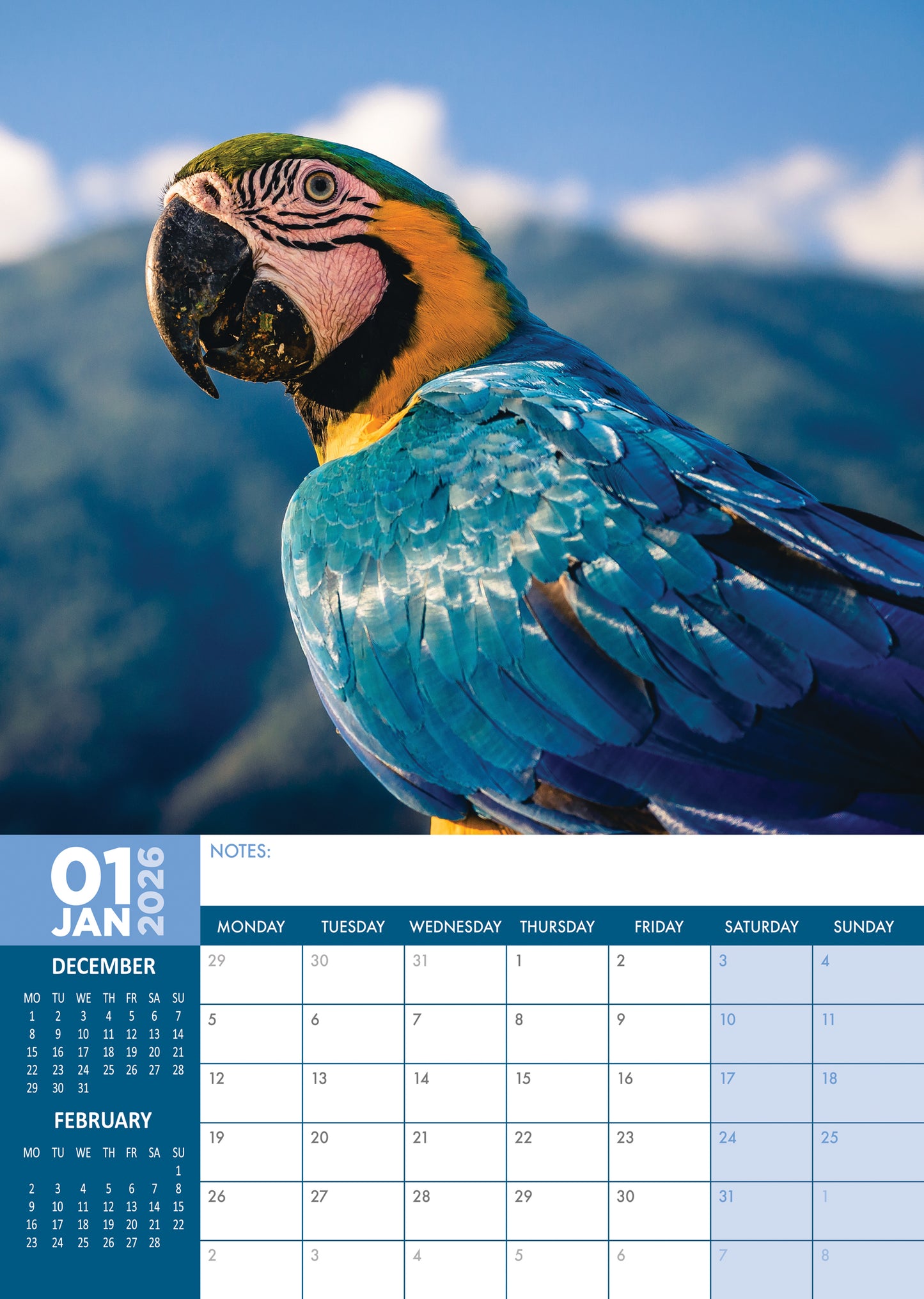 Macaws Calendar 2026 – A Colorful Celebration of Exotic Beauty