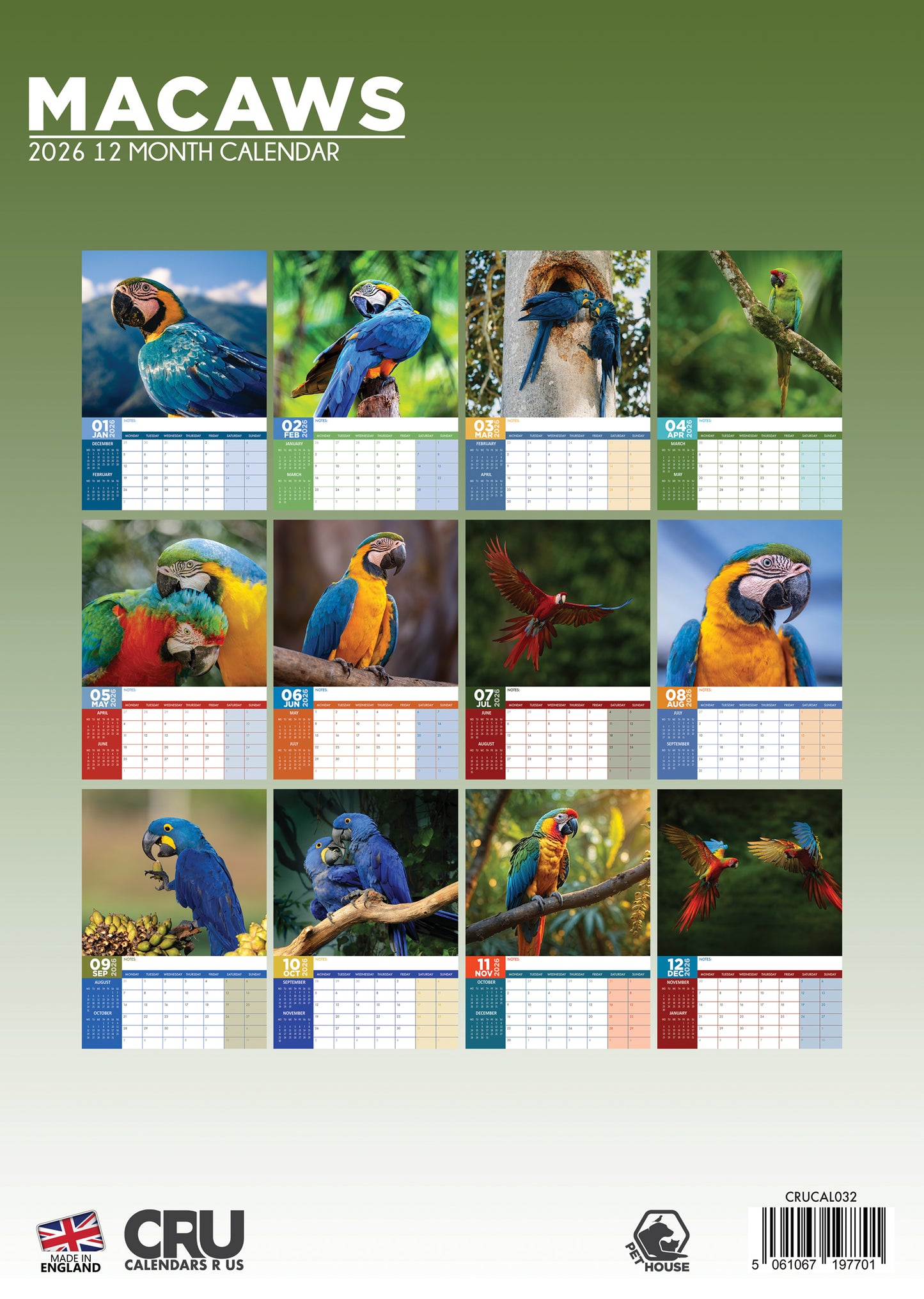 Macaws Calendar 2026 – A Colorful Celebration of Exotic Beauty
