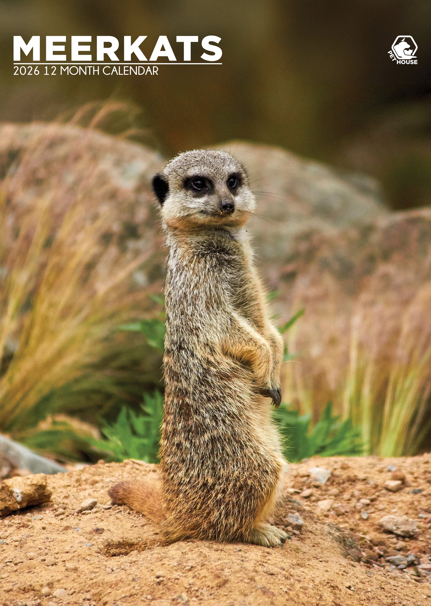 Meerkats Calendar 2026 – A Year of Adorable Alert Companions
