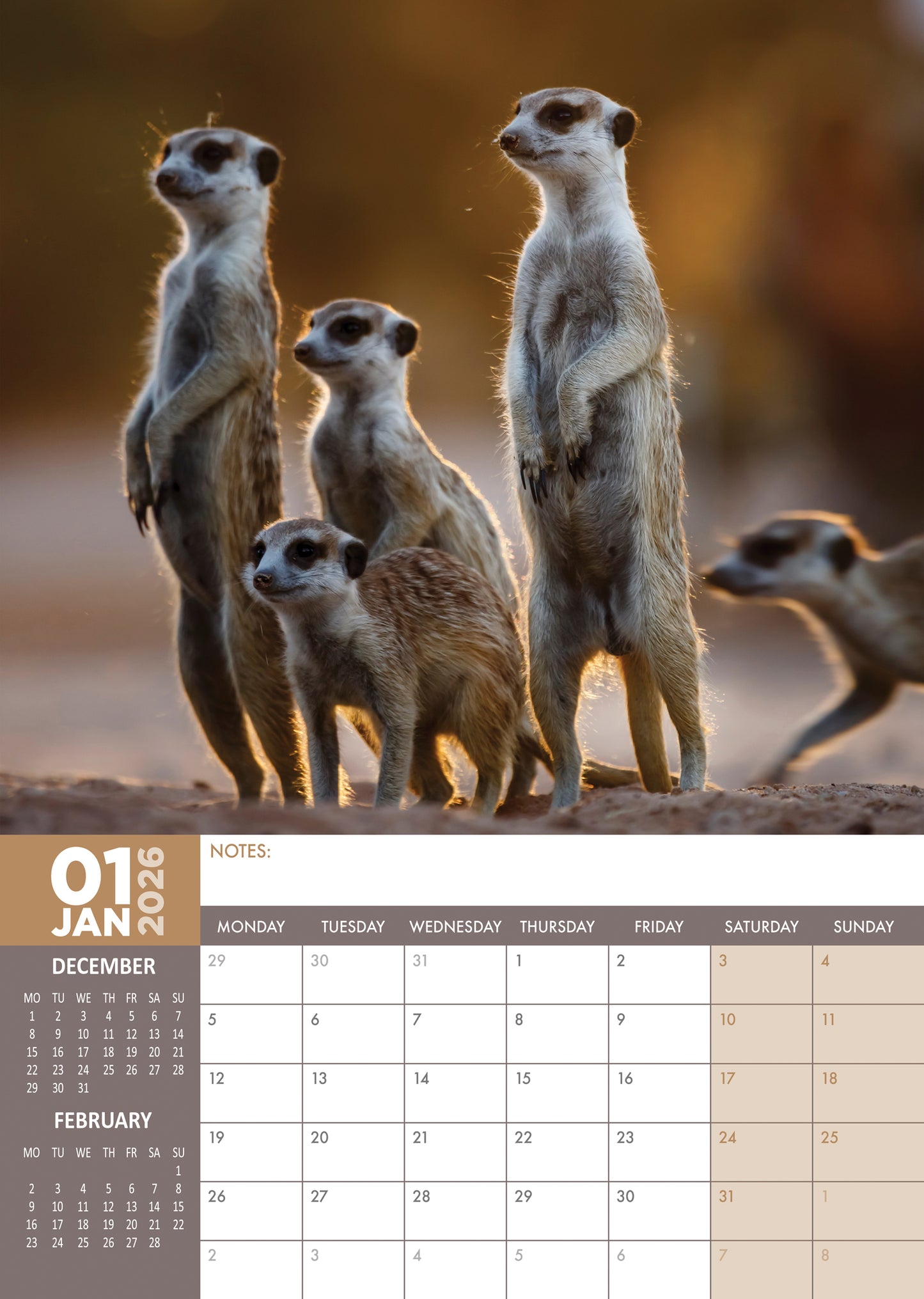 Meerkats Calendar 2026 – A Year of Adorable Alert Companions