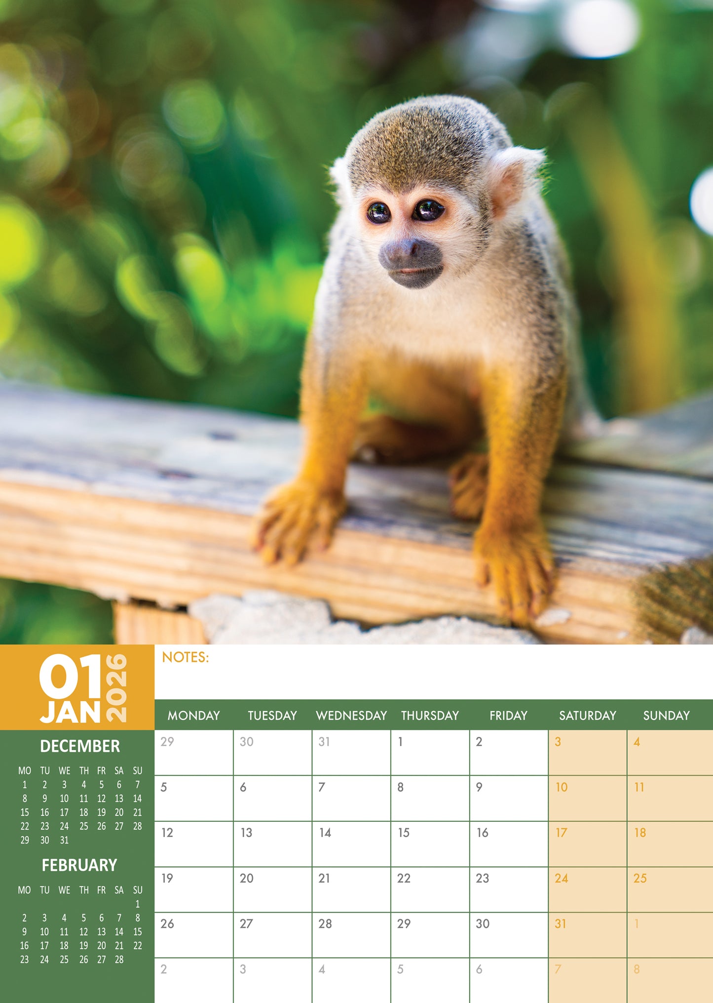 Monkeys Calendar 2026 – A Year of Mischief, Charm, and Primate Fun