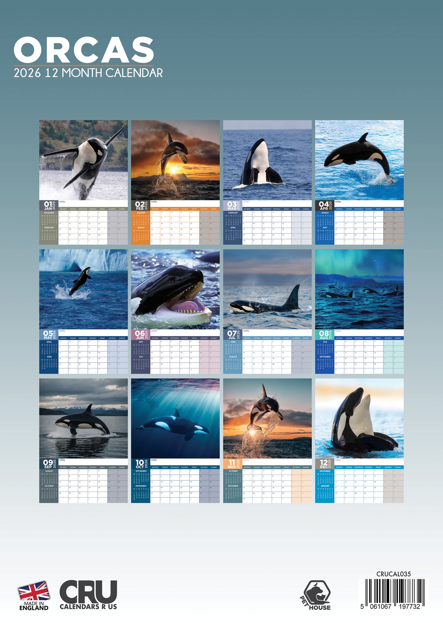 Orcas Calendar 2026 – Celebrate the Majesty of Killer Whales All Year Round