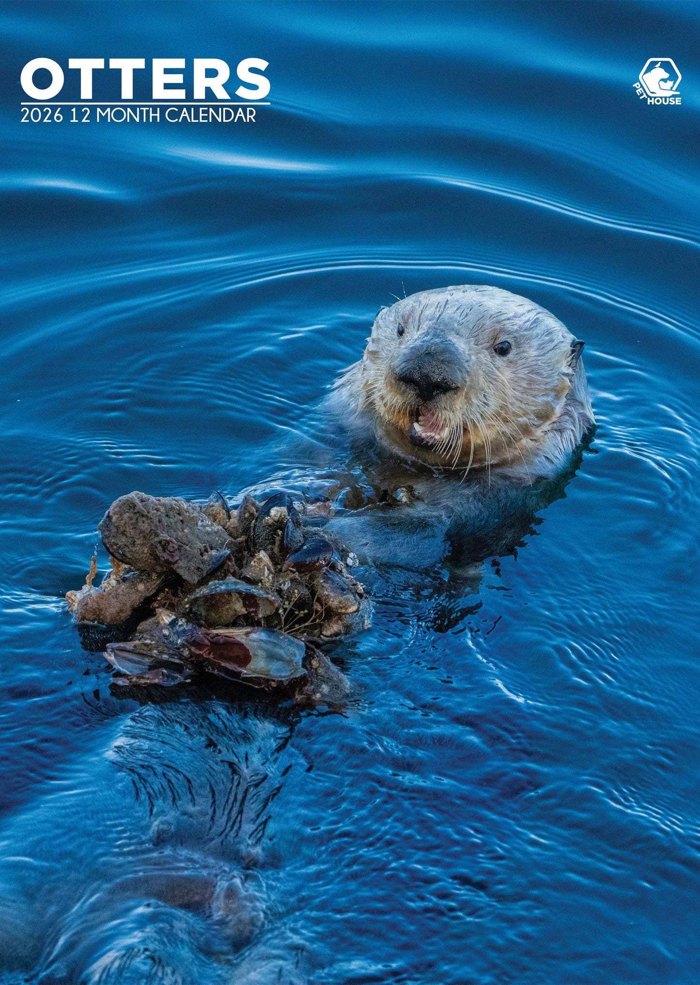 Otters Calendar 2026 – Celebrate the Playfulness of Otters All Year Long