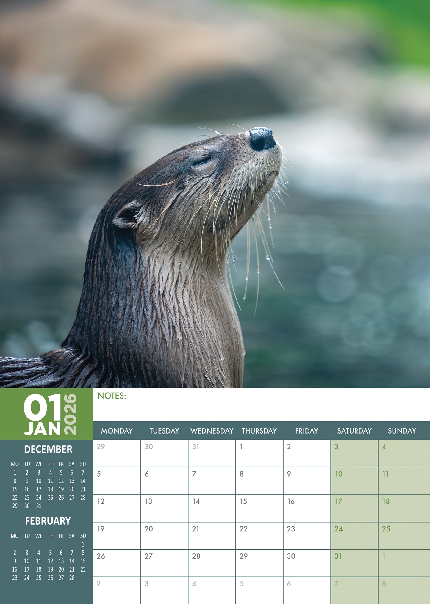Otters Calendar 2026 – Celebrate the Playfulness of Otters All Year Long