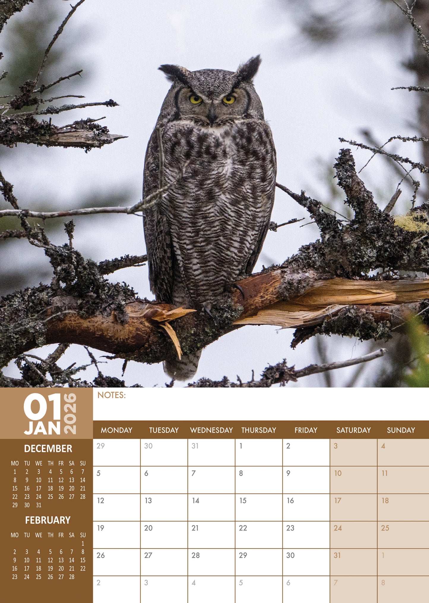 Owls Calendar 2026 – A Year of Enchantment and Wisdom