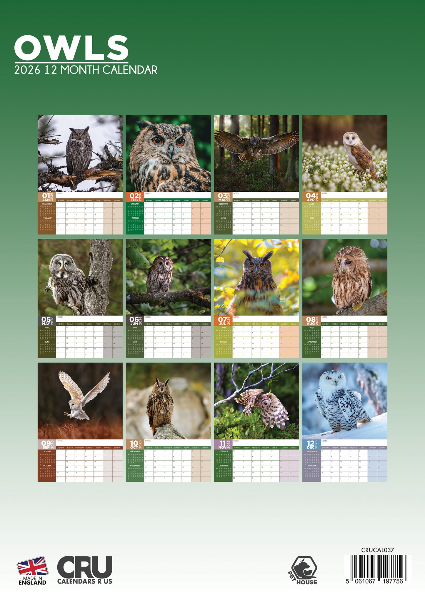 Owls Calendar 2026 – A Year of Enchantment and Wisdom