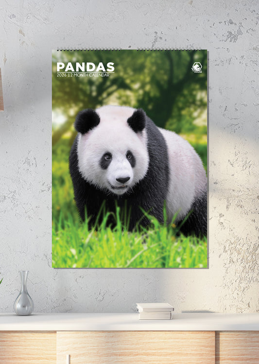 Pandas Calendar 2026 – Embrace the Cuteness of These Adorable Bears