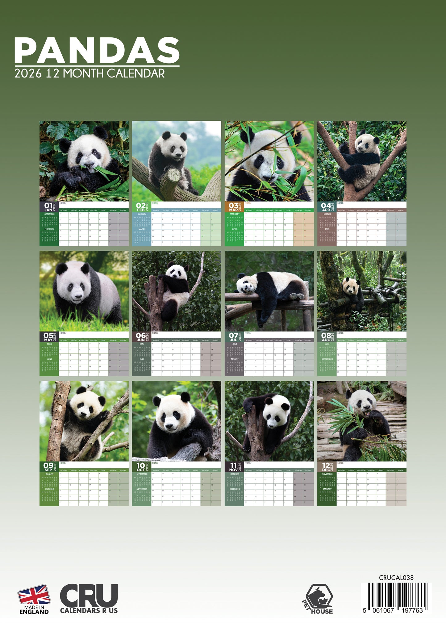 Pandas Calendar 2026 – Embrace the Cuteness of These Adorable Bears