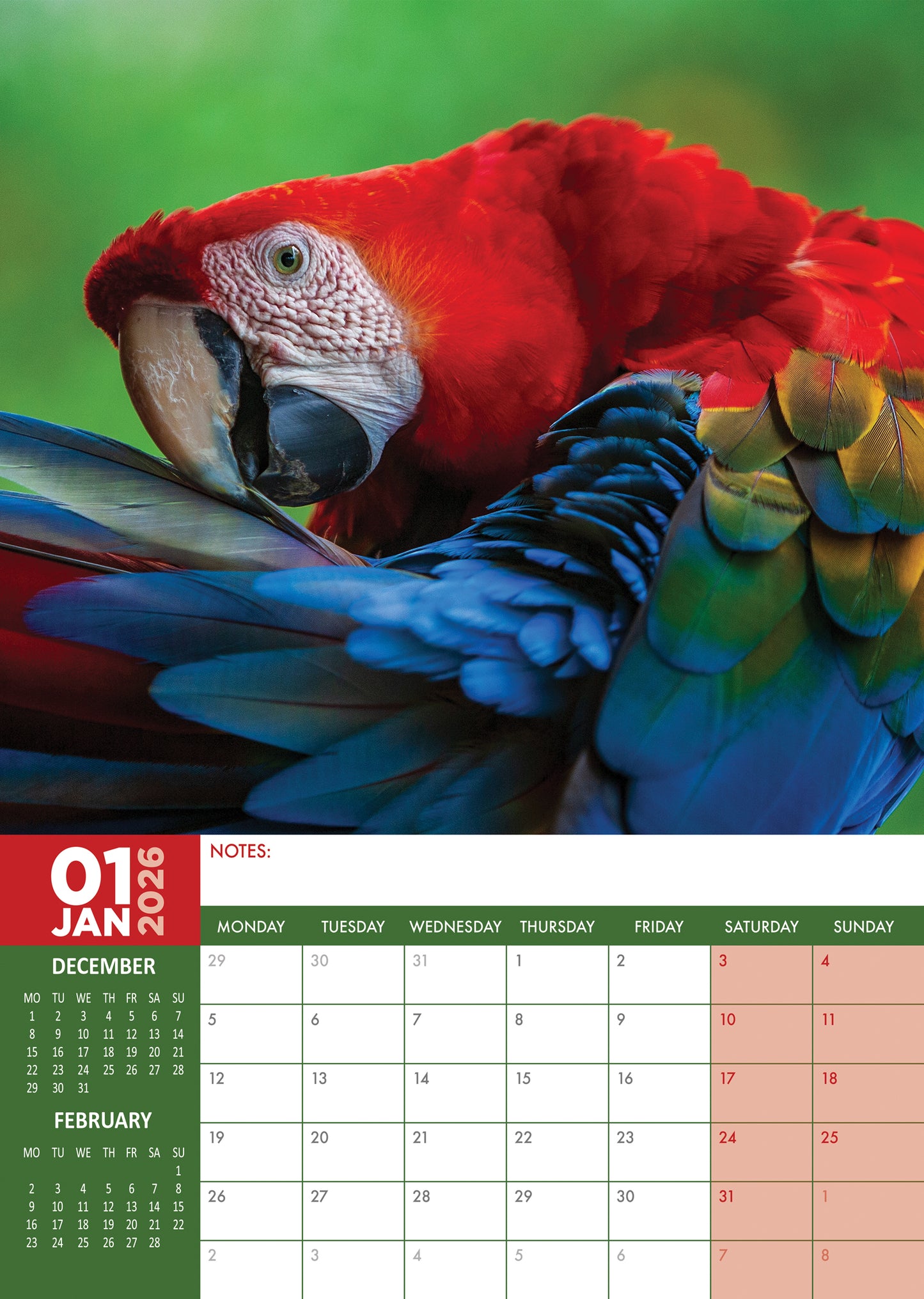 Parrots Calendar 2026 – A Vibrant Celebration of Colorful Companions