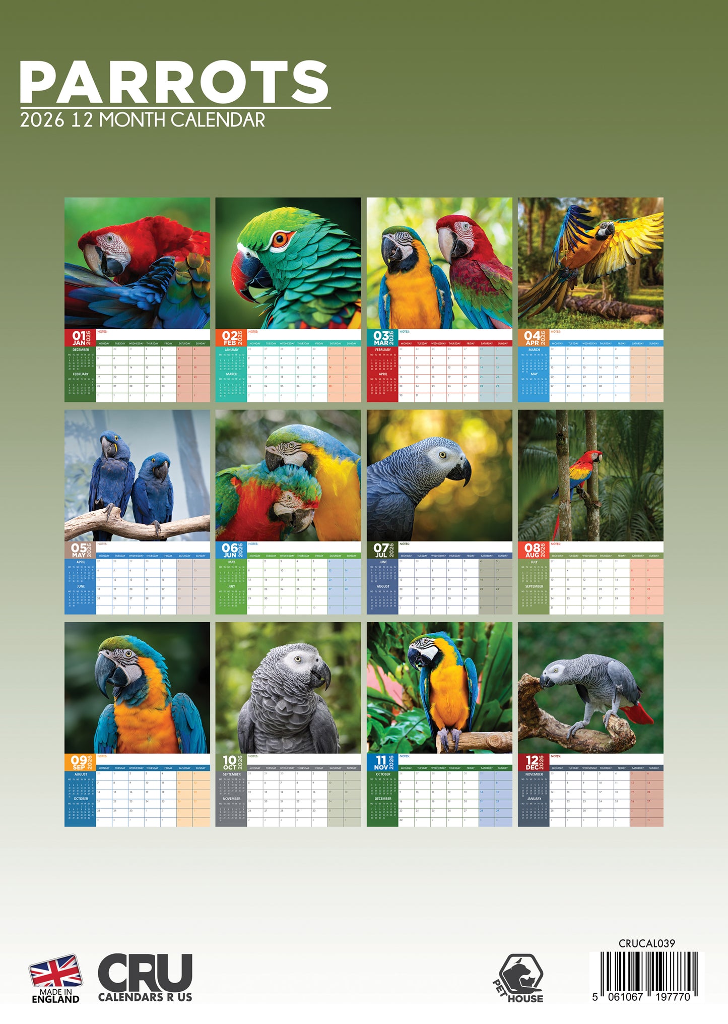 Parrots Calendar 2026 – A Vibrant Celebration of Colorful Companions