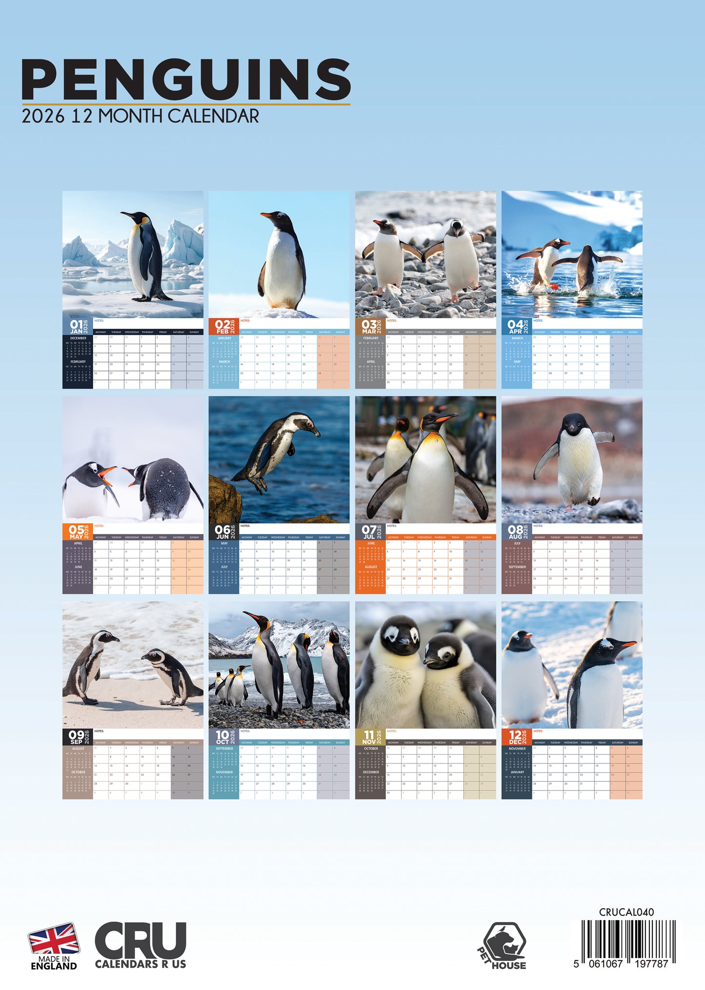 Penguins Calendar 2026 – A Charming Year with Nature’s Most Adorable Birds