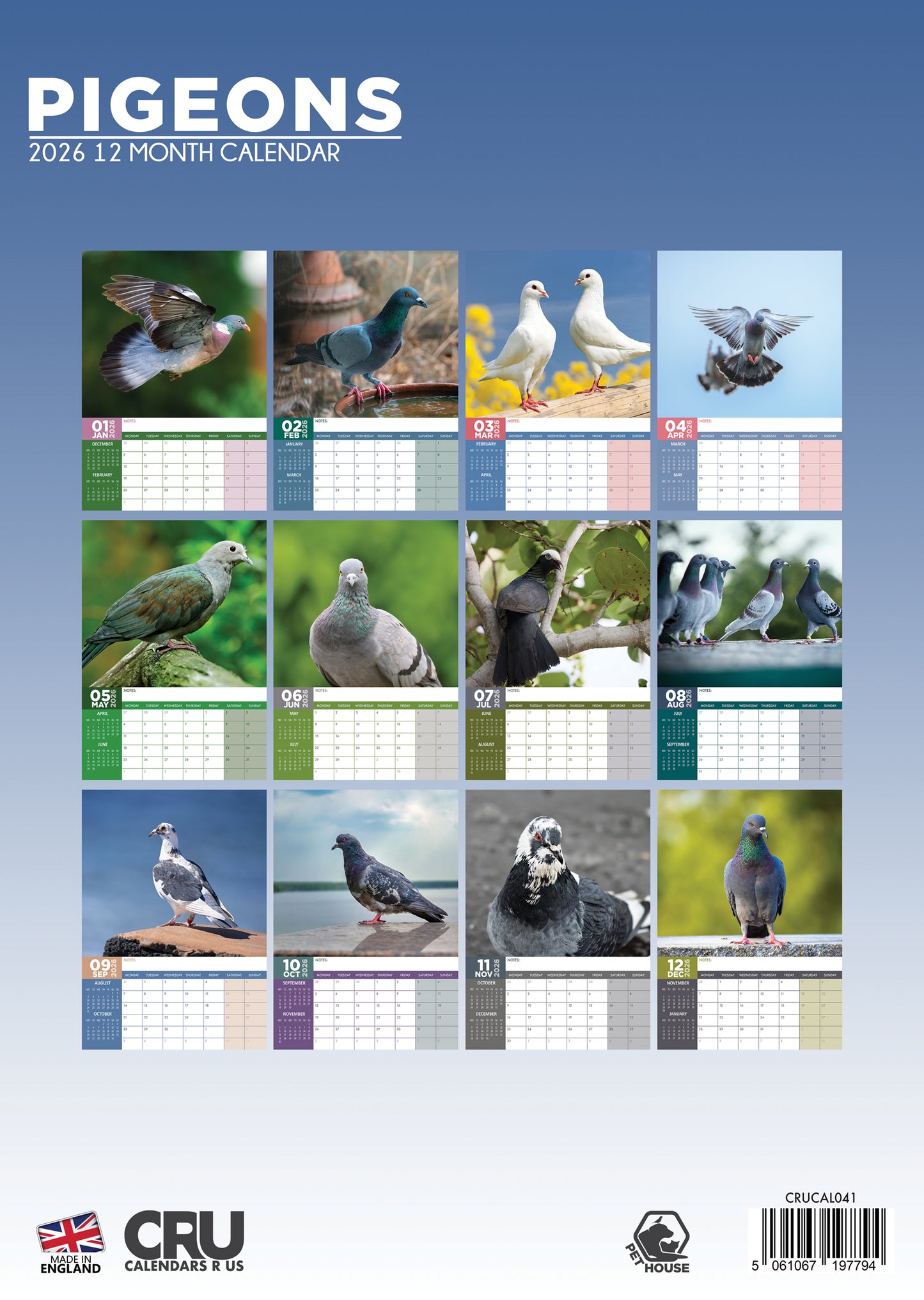 Pigeons Calendar 2026 – A Year of Urban Charm and Feathered Beauty