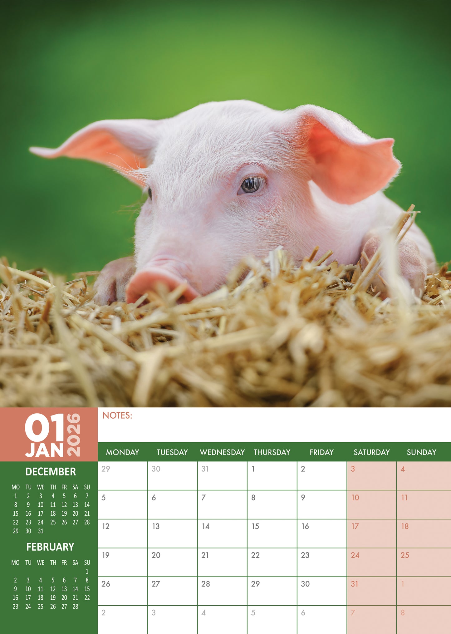 Piglets Calendar 2026 – Adorable Piglets to Brighten Your Year
