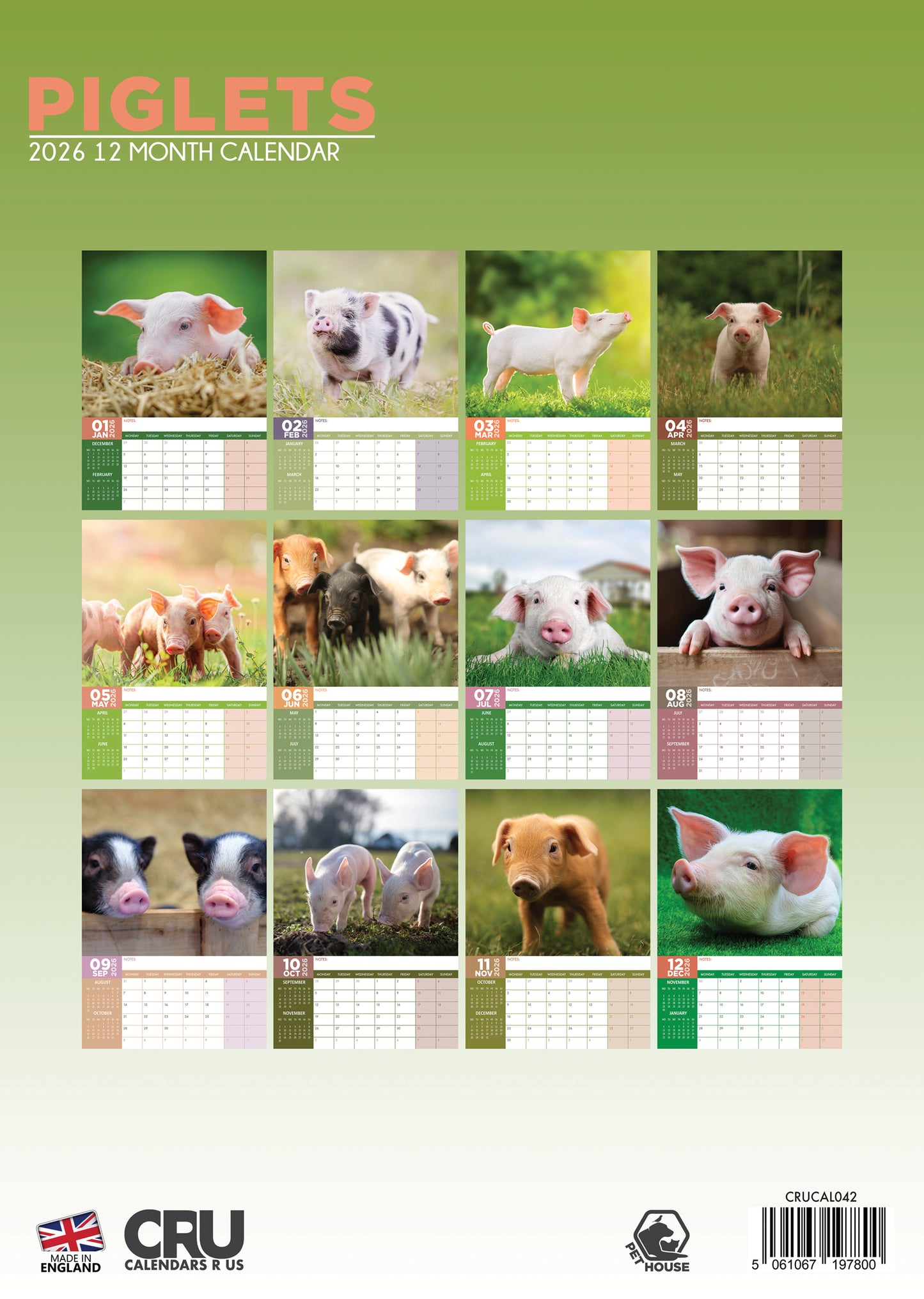 Piglets Calendar 2026 – Adorable Piglets to Brighten Your Year