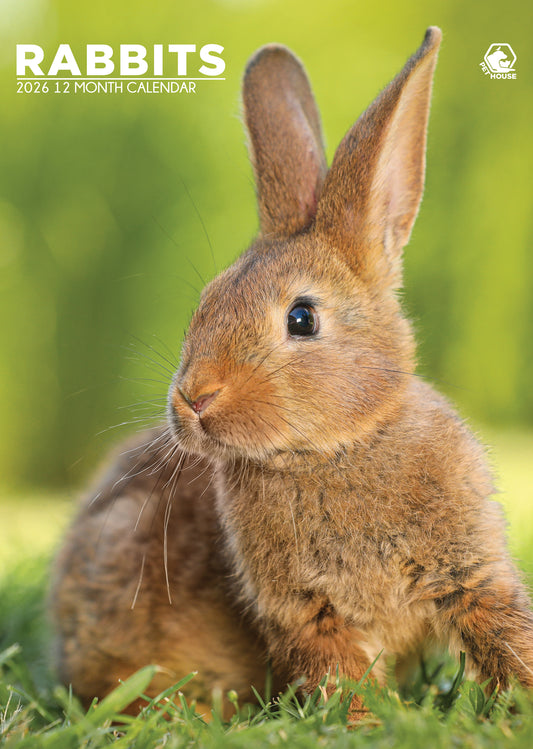 Rabbits Calendar 2026 – A Year Full of Cuteness and Charm