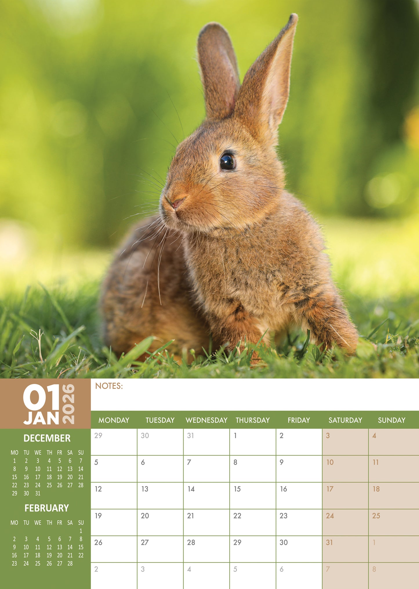 Rabbits Calendar 2026 – A Year Full of Cuteness and Charm