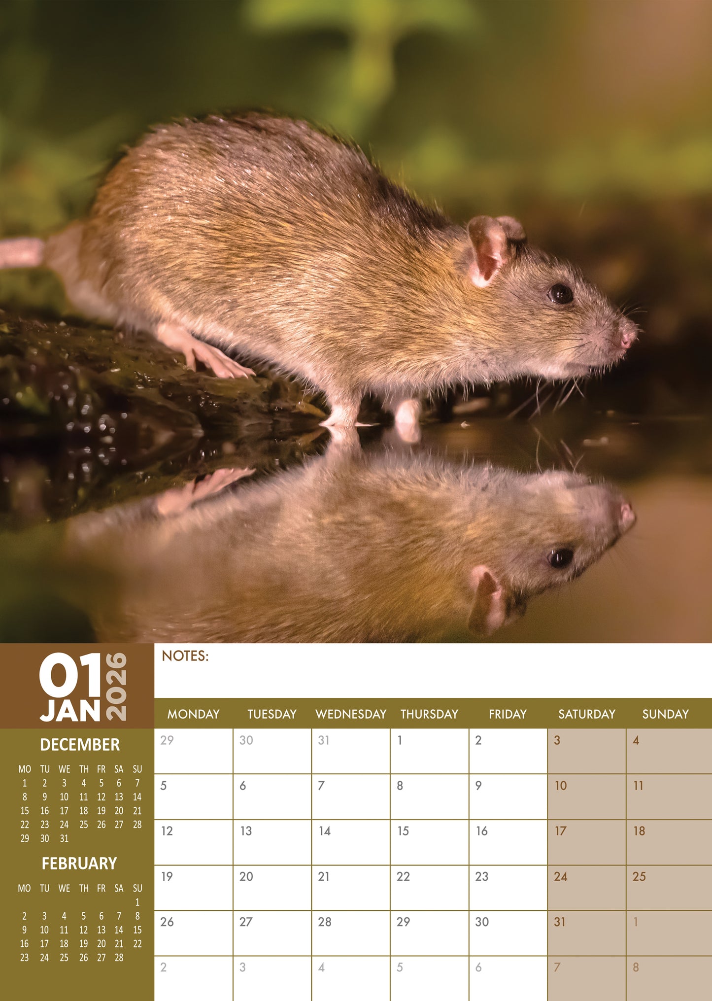 Rats Calendar 2026 – Celebrate the Cuteness of Clever Companions