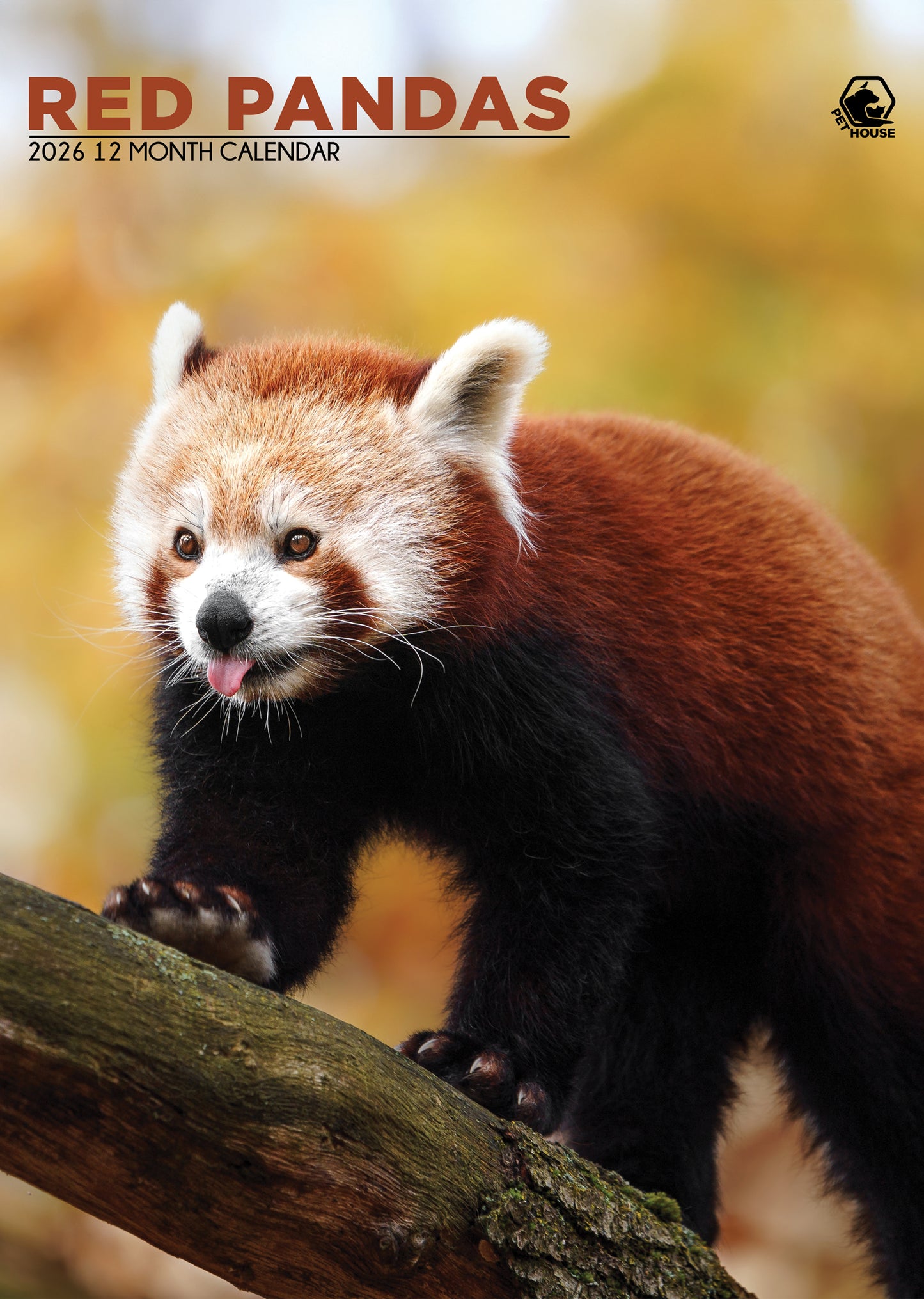 Red Panda Calendar 2026 – A Charming Tribute to Nature’s Cutest Climber