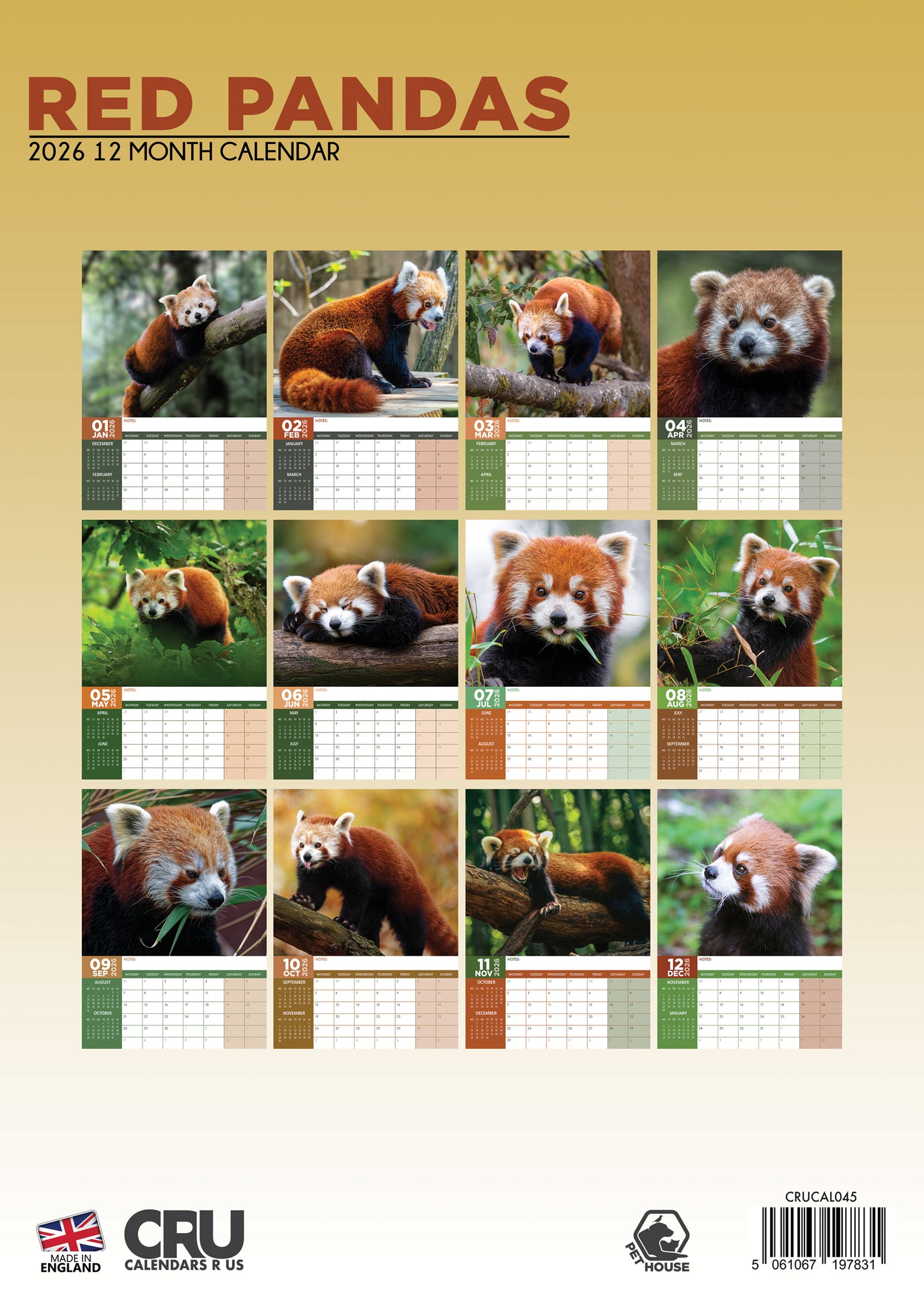 Red Panda Calendar 2026 – A Charming Tribute to Nature’s Cutest Climber