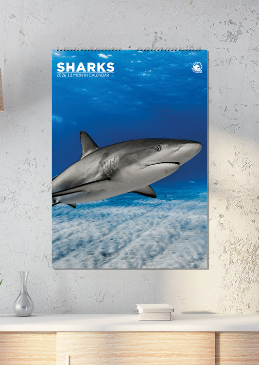 Sharks Calendar 2026 – Dive Into a Jaw-Dropping Year with the Ocean’s Fiercest Predators