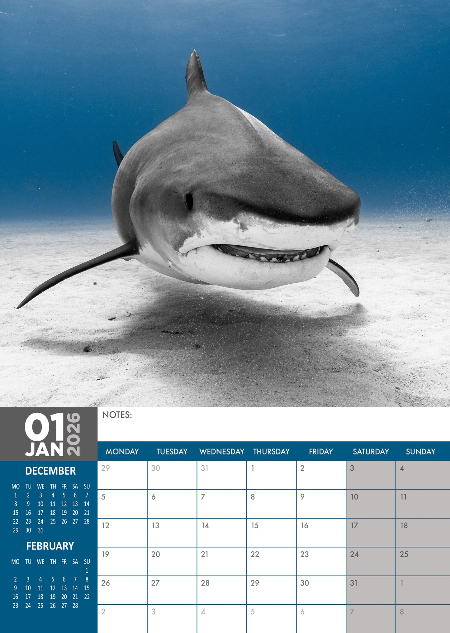 Sharks Calendar 2026 – Dive Into a Jaw-Dropping Year with the Ocean’s Fiercest Predators