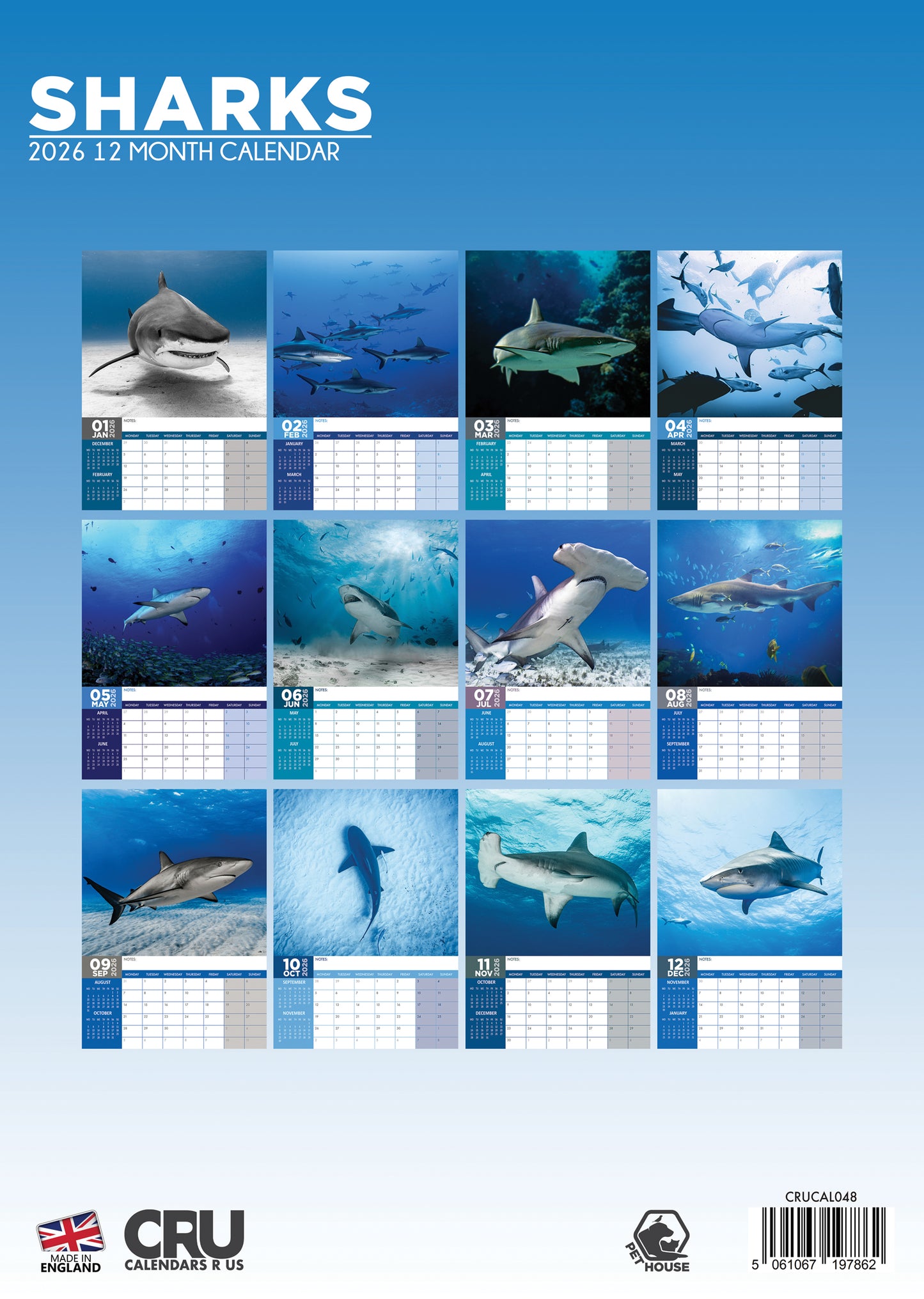 Sharks Calendar 2026 – Dive Into a Jaw-Dropping Year with the Ocean’s Fiercest Predators