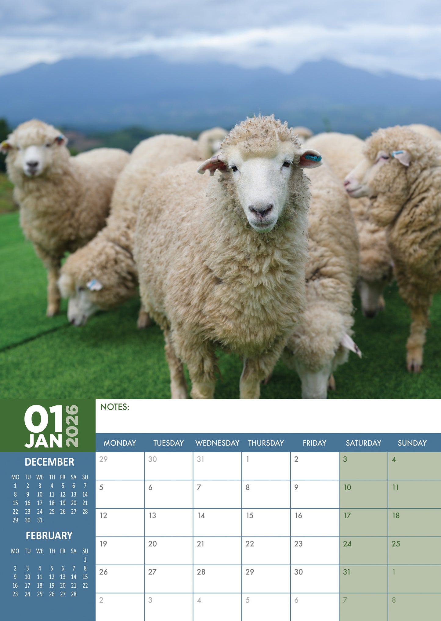 Sheep Calendar 2026 – Celebrate the Charm of Sheep All Year Round