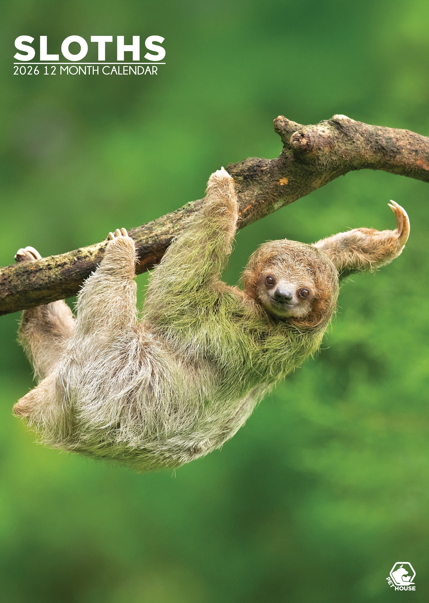Sloths Calendar 2026 – Slow Down and Enjoy the Charm of Sloths