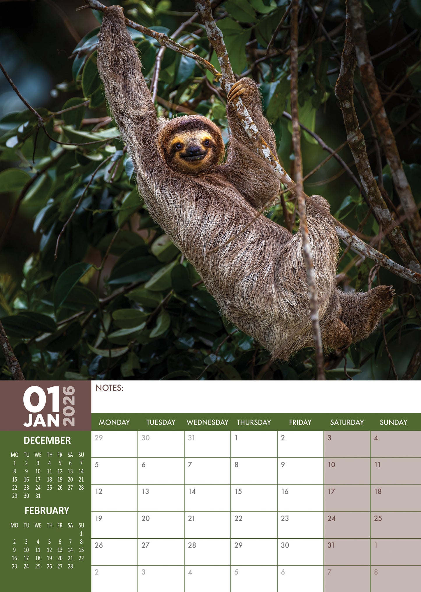Sloths Calendar 2026 – Slow Down and Enjoy the Charm of Sloths