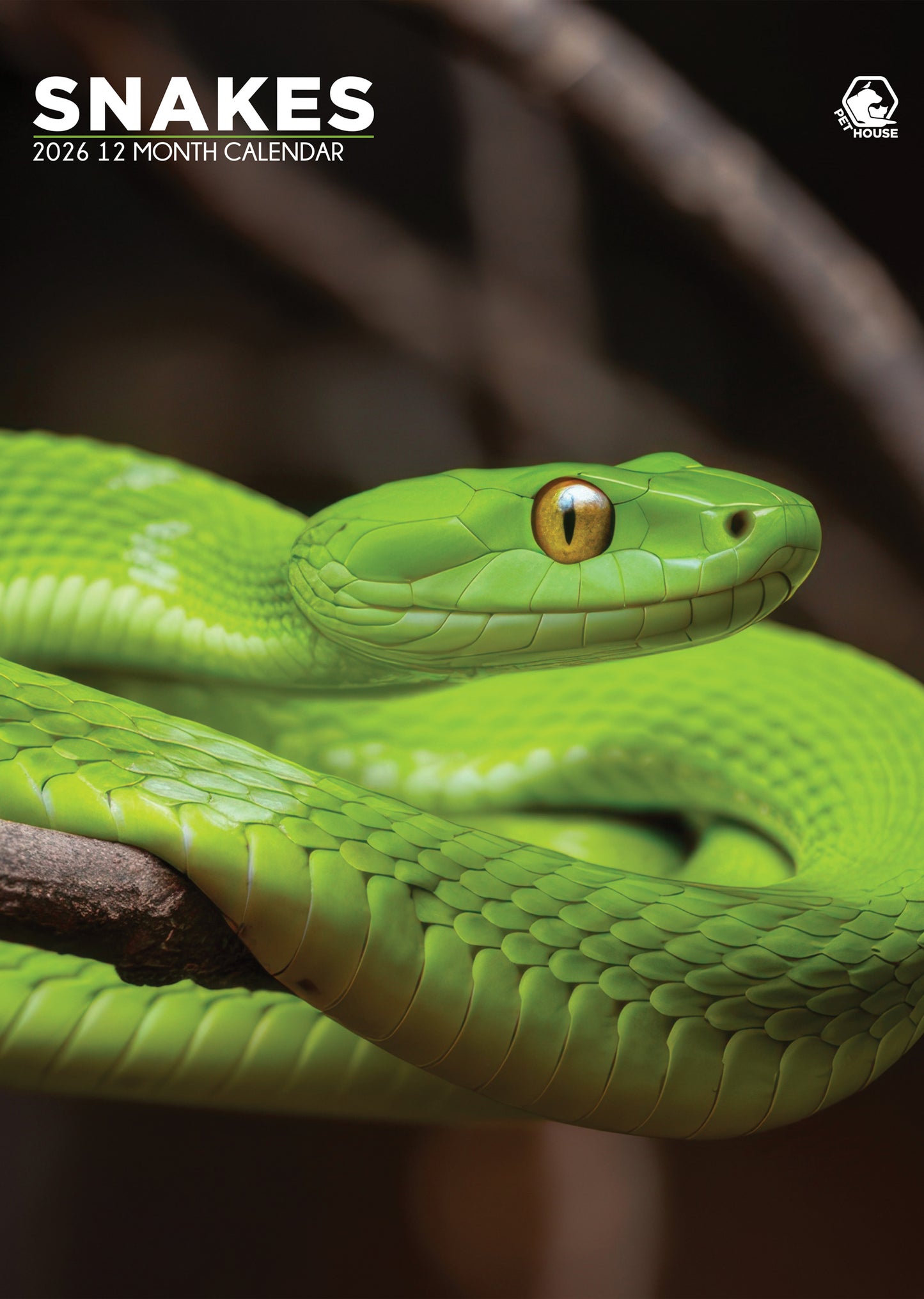 Snakes Calendar 2026 – A Year of Majestic Reptiles