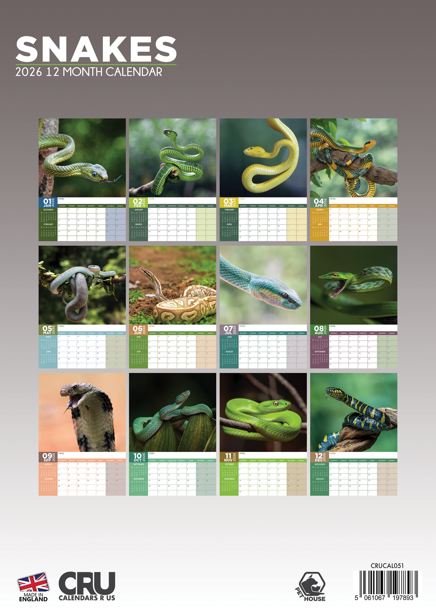 Snakes Calendar 2026 – A Year of Majestic Reptiles