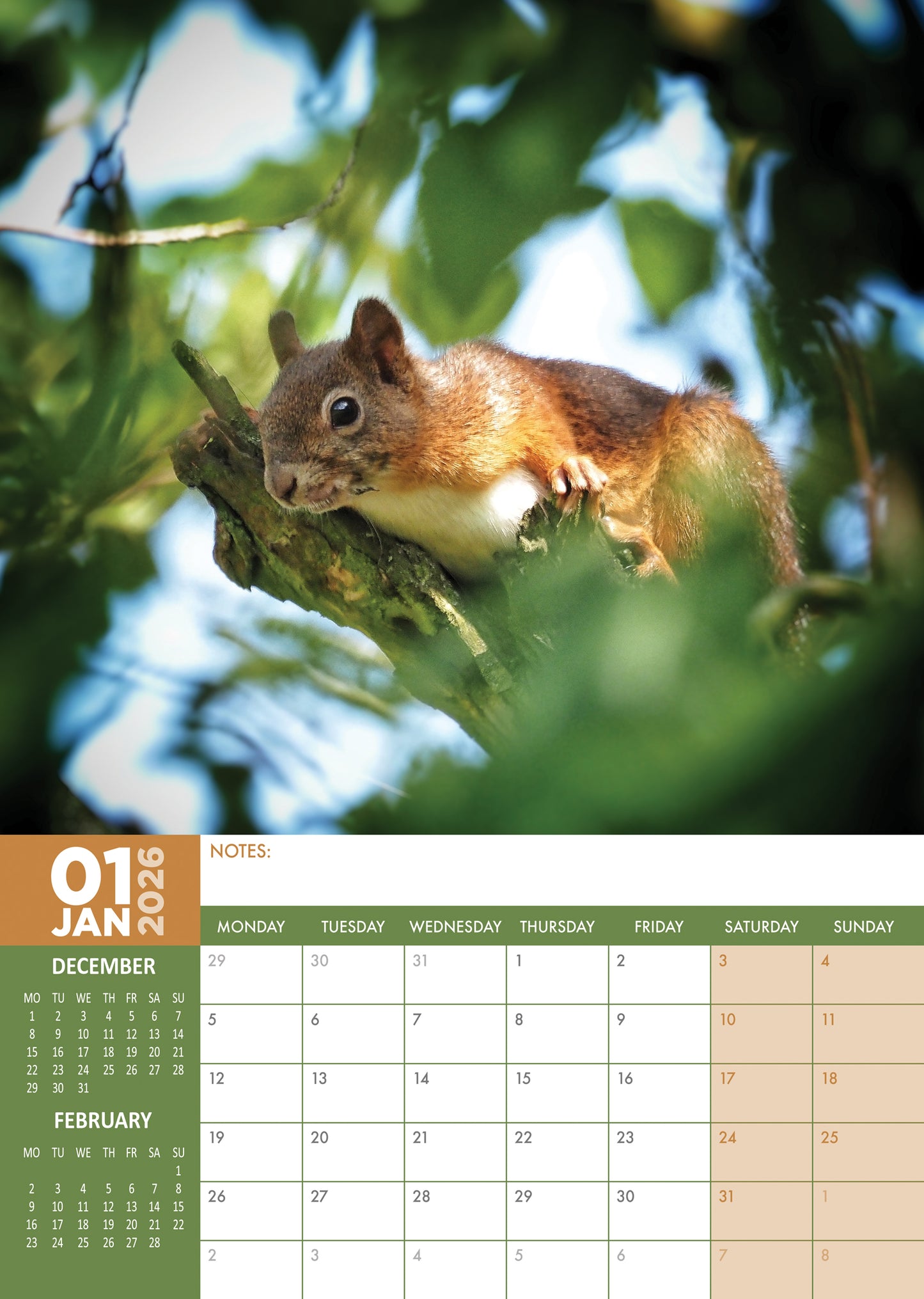 Squirrels Calendar 2026 – Celebrate the Playfulness of Nature’s Acrobats