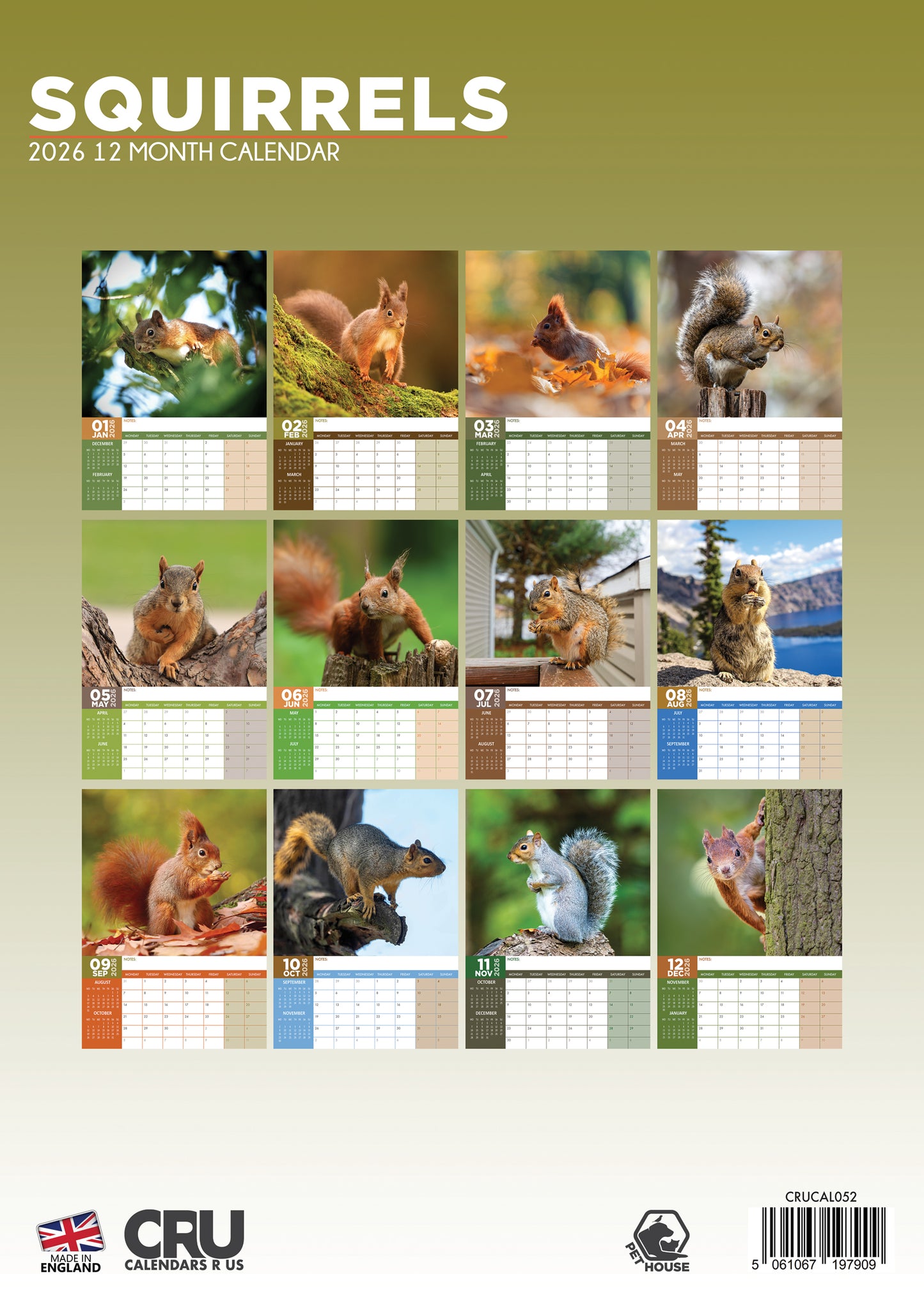 Squirrels Calendar 2026 – Celebrate the Playfulness of Nature’s Acrobats