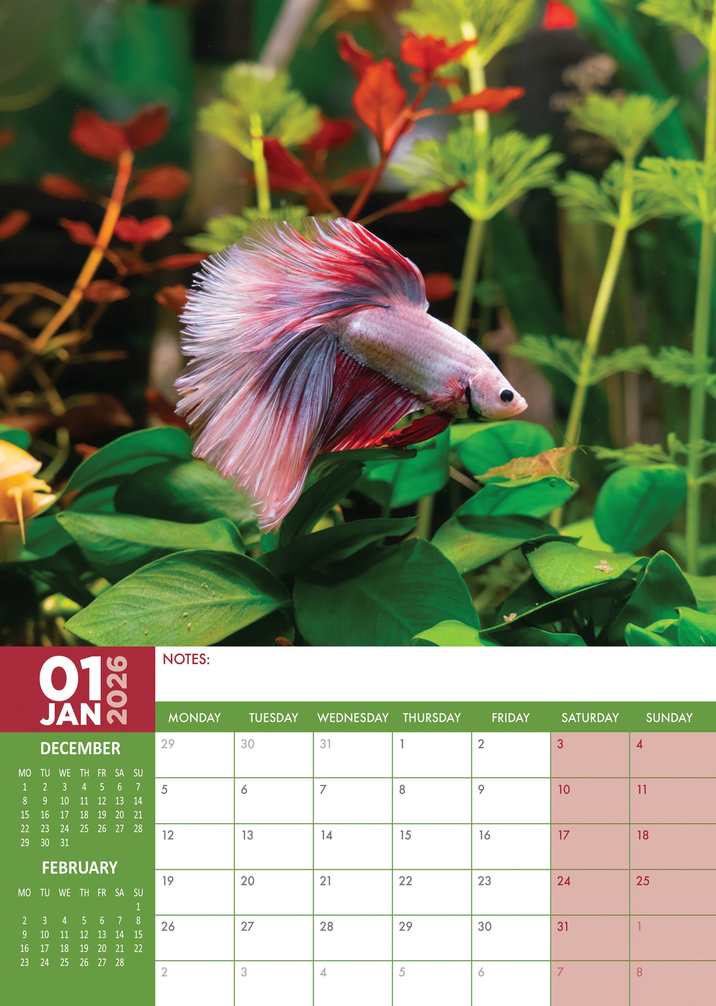 Tropical Fish Calendar 2026 – A Vibrant Underwater World in Your Home